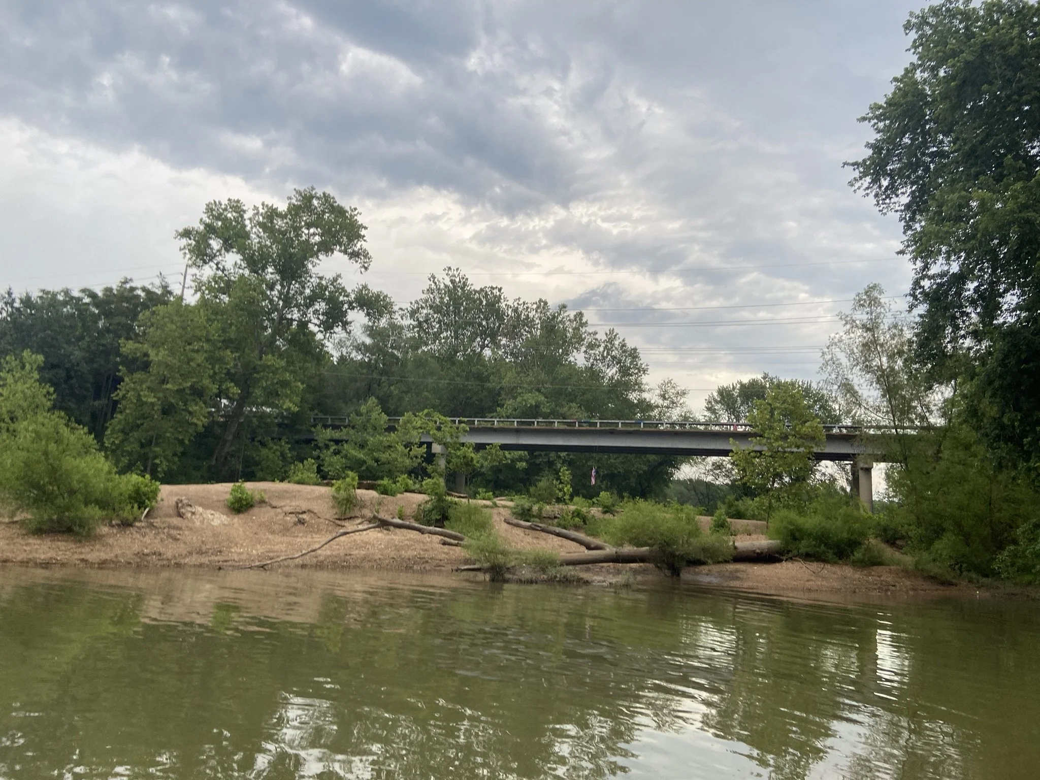 A view of a river with a sandy bank and fallen tree branches in the foreground, green trees on the riverbank, and a bridge in the background under a cloudy sky.