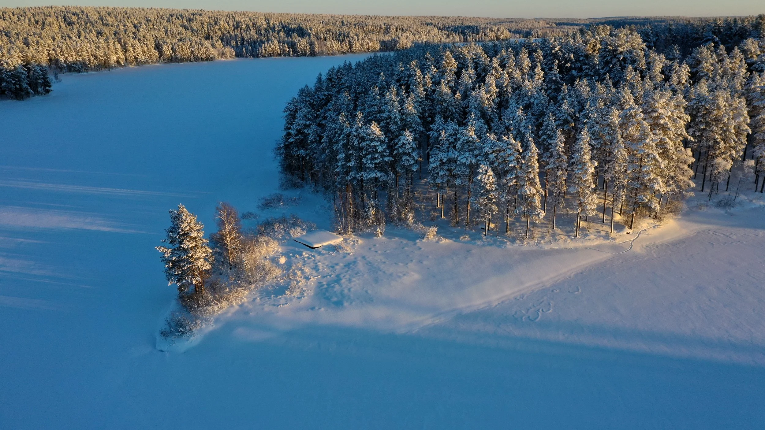 Kokkojärvi snow-covered landscape featuring a frozen lake and a forest of snow-laden pine trees, with some ski tracks visible on the snow.