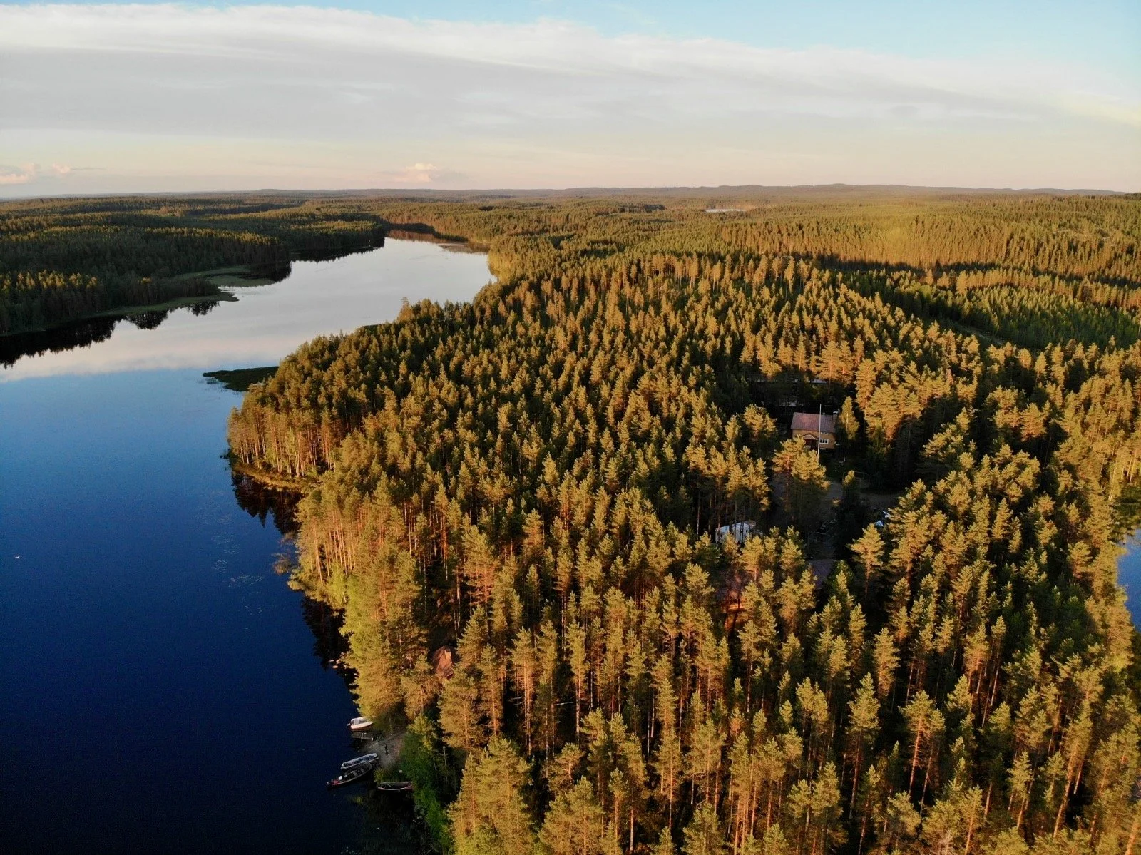 Aerial view of a forested area with a river running through it, showing green trees and a few houses near the water, during sunset with long shadows and warm light.