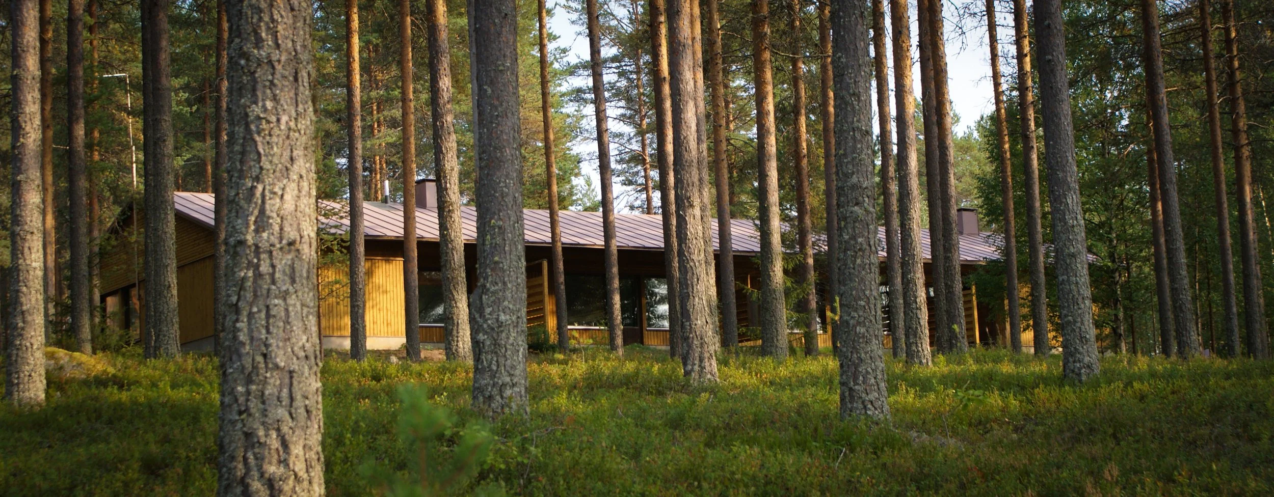 Kokkojärven majoitusrakennus rauhallisessa mäntymetsässä Pohjois-Karjalassa.