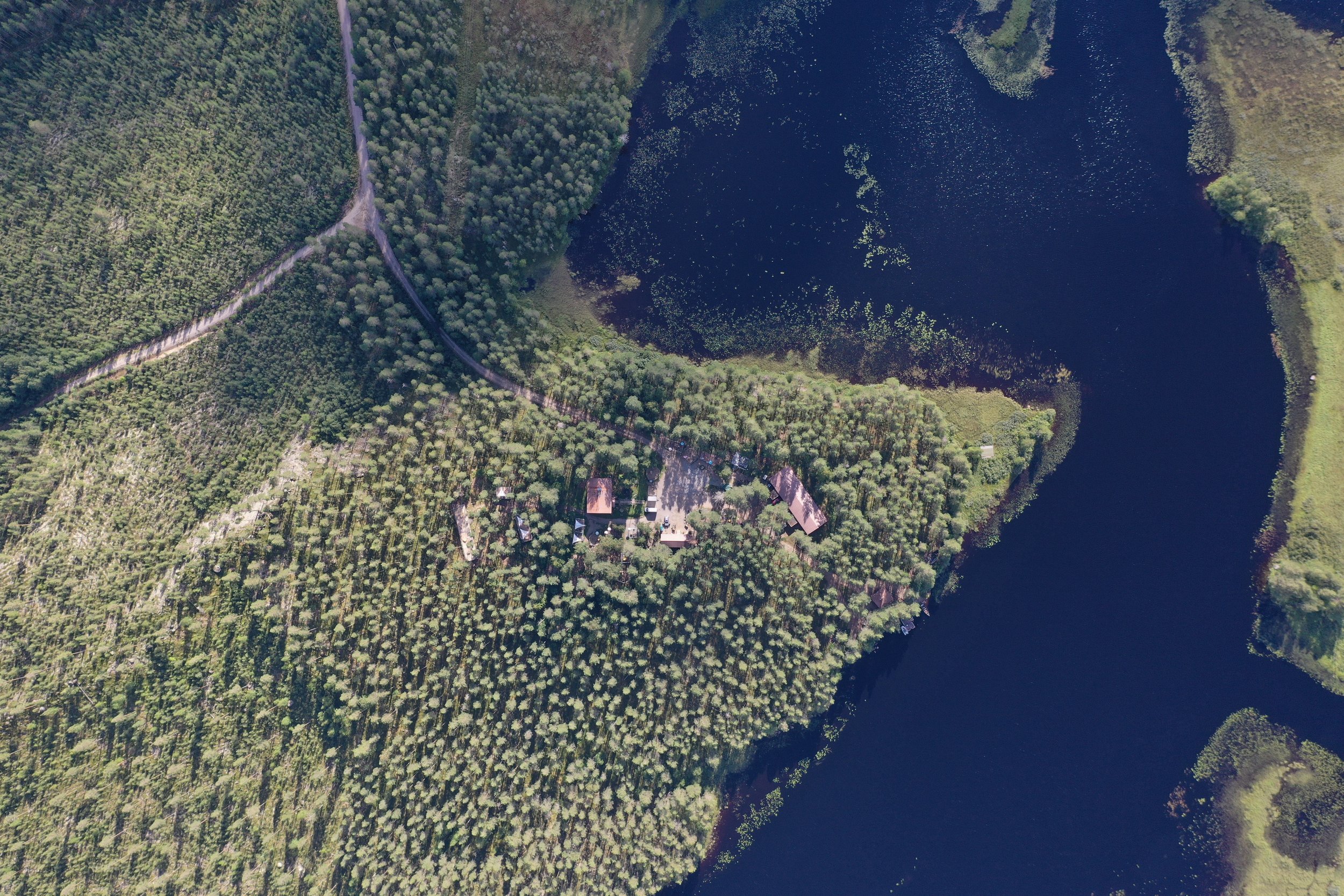 Aerial view of a Kokkojärvi surrounded by trees and greenery.