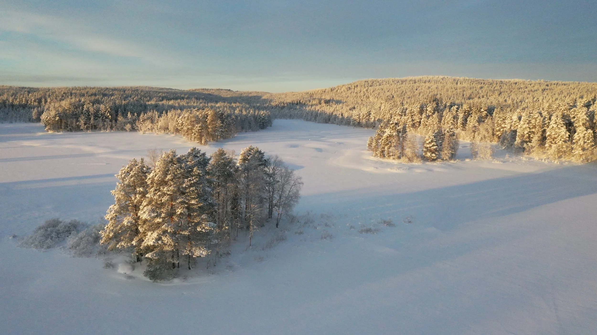 Snow-covered landscape close to Kokkojärviwith a forest and open field under a clear blue sky.