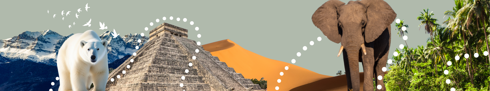 Composite landscape featuring a polar bear, a pyramid, a desert with sand dunes, an elephant, and a tropical jungle.