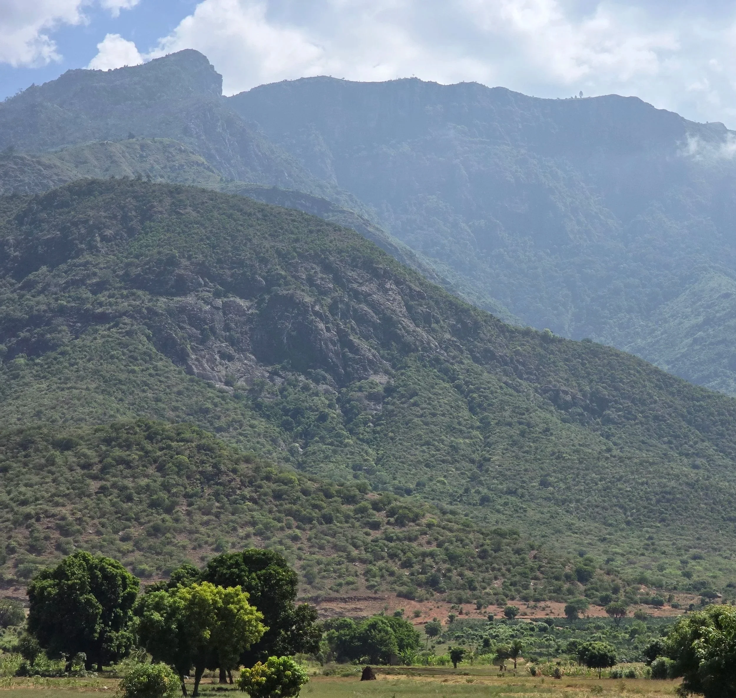Lush green mountains with trees and vegetation, partly clouded sky in the background. Rainforest mountains which are home to many small hold spice farms.