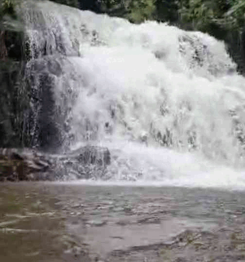 A cascading waterfall flowing into a calm river or pool with green trees in the background.