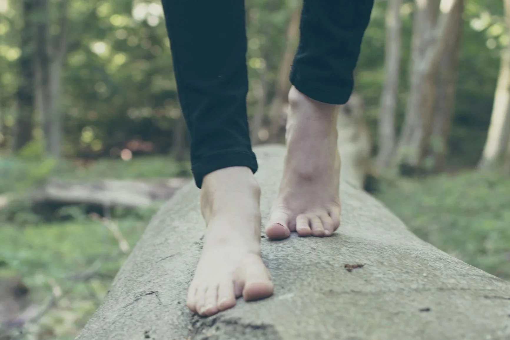 Close-up of two people balancing barefoot on a fallen tree trunk in a forest, holding hands for support.