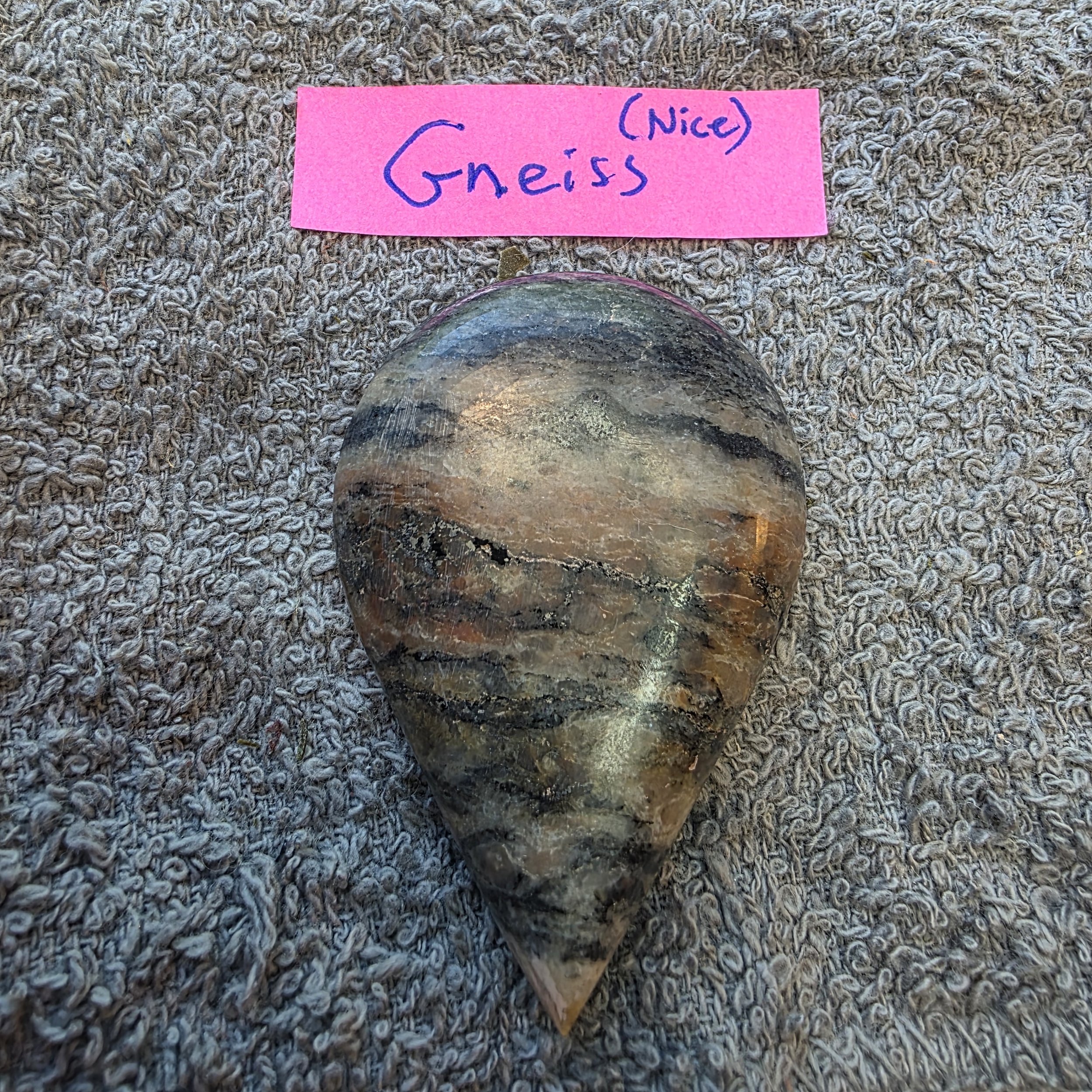 Teardrop Shaped Gneiss Worry Stone