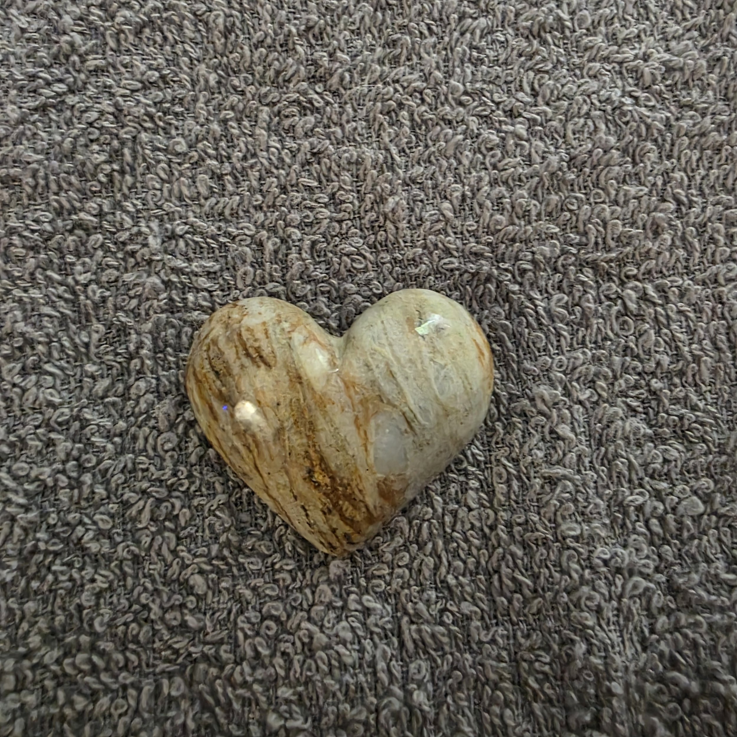Heart Shaped Petrified Wood Cabochon