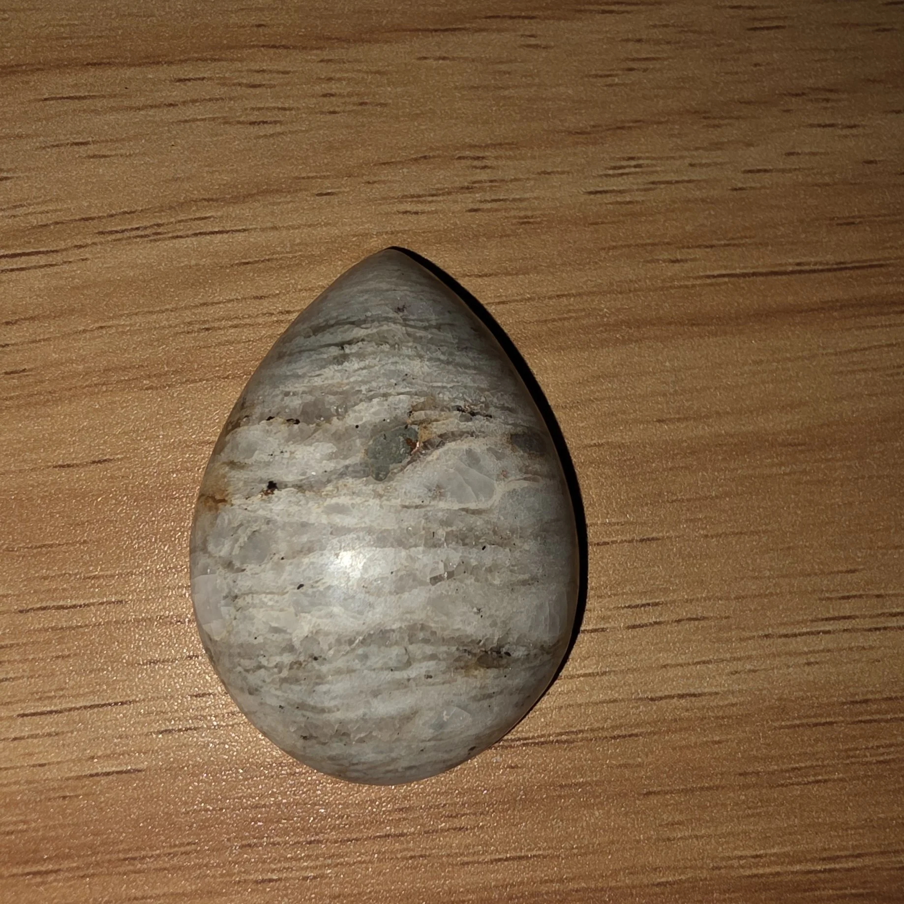 Teardrop Shaped Petrified Wood Stone