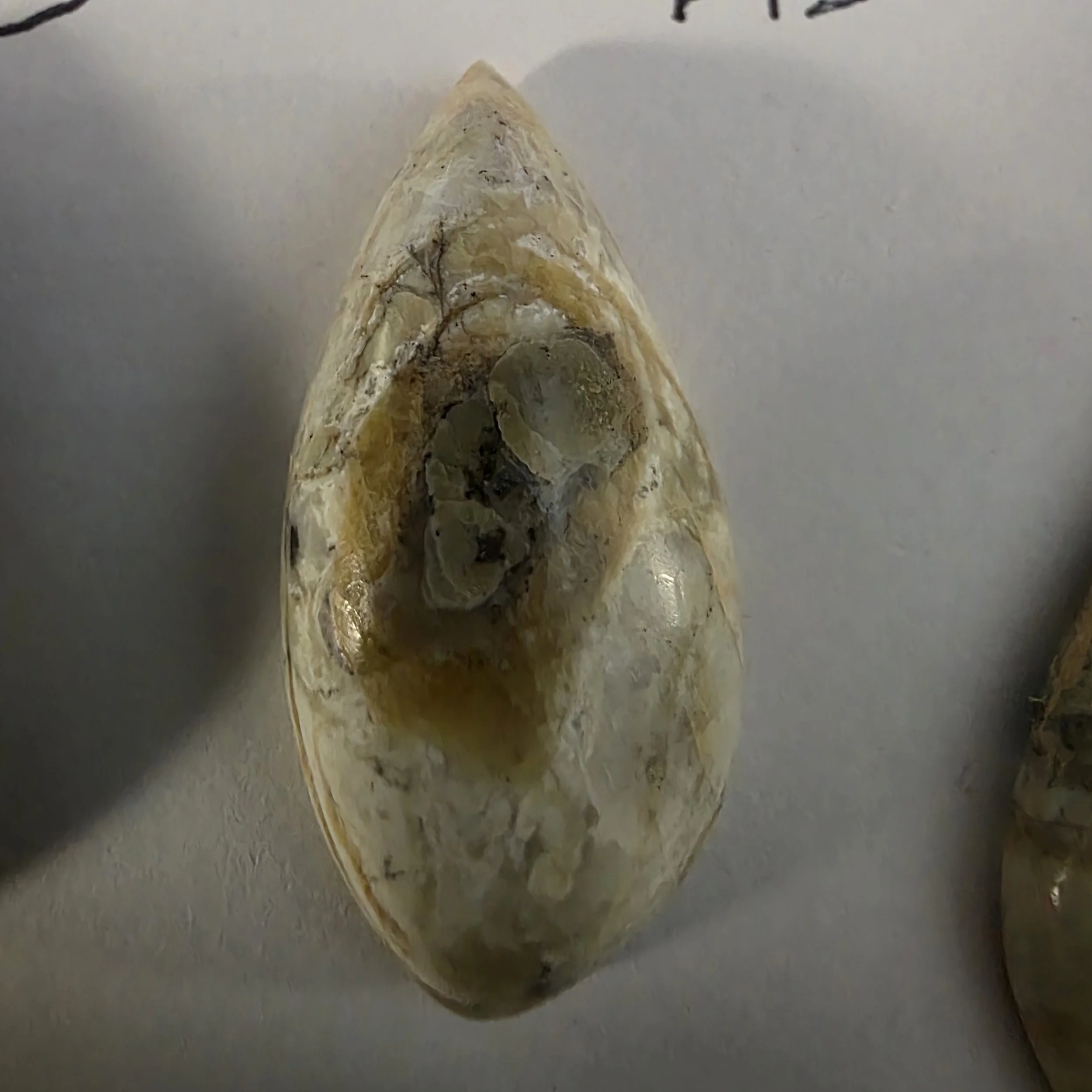 Small Leaf Shaped Arizona Pietersite Cabochon