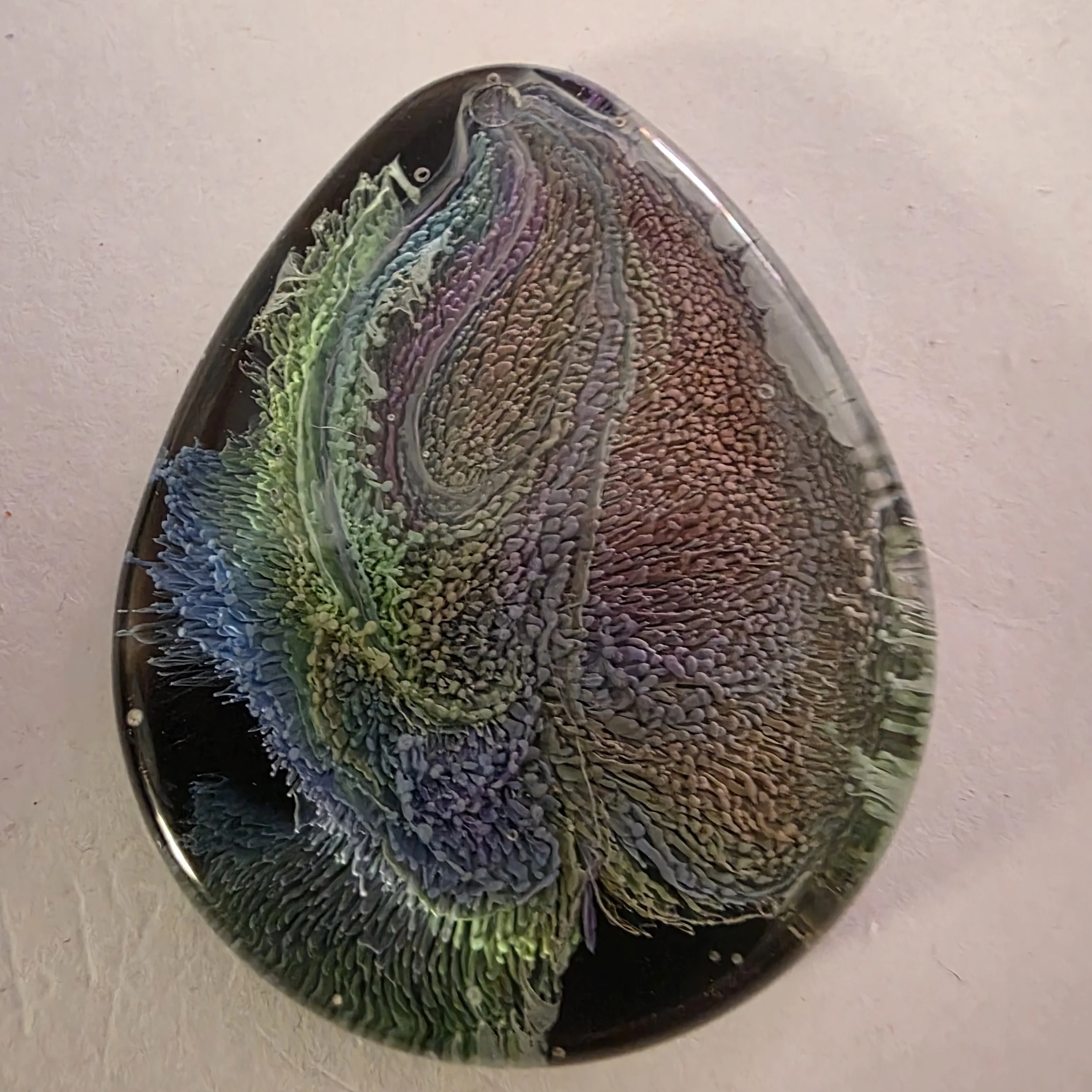 20260815_135432.jpg