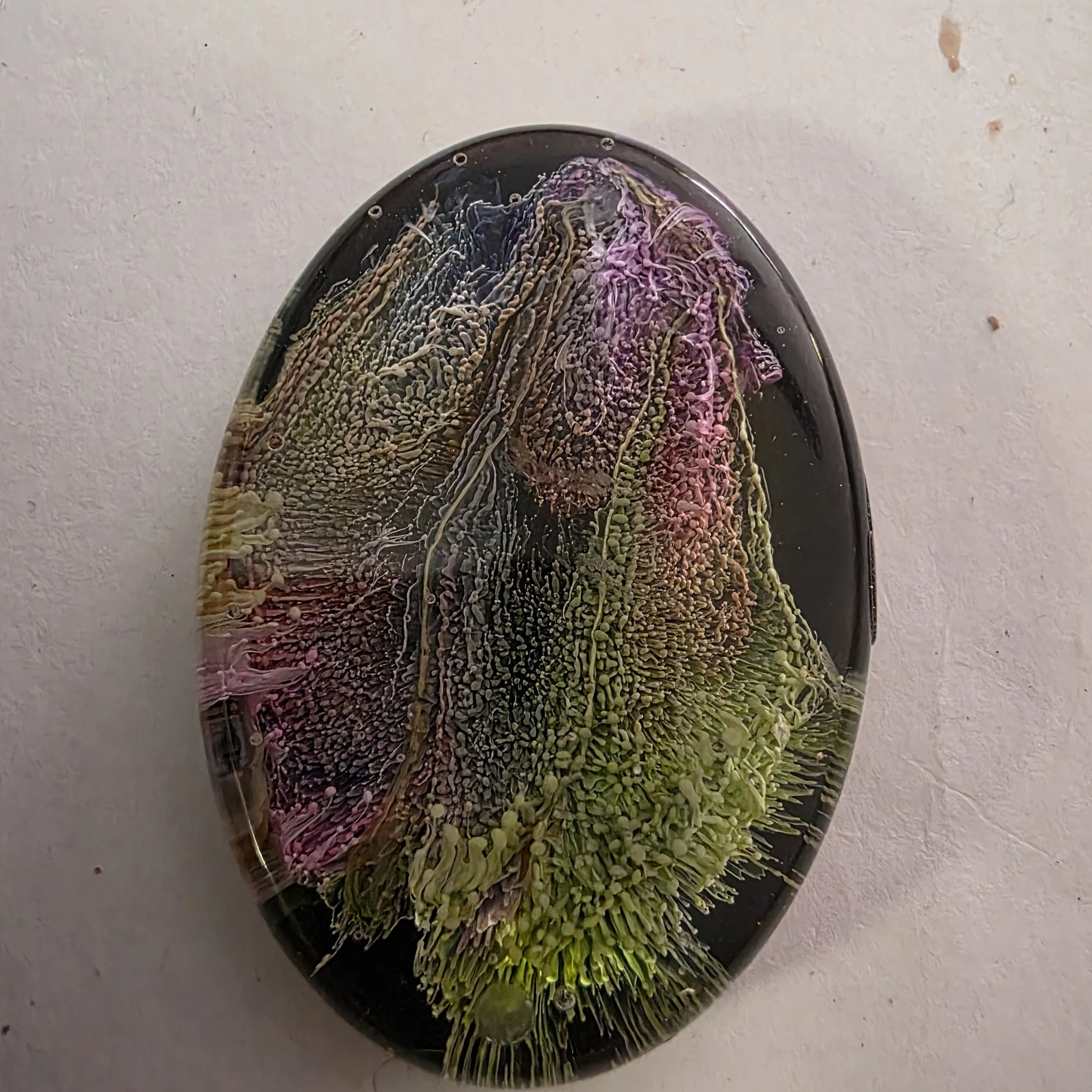 20260815_134627.jpg