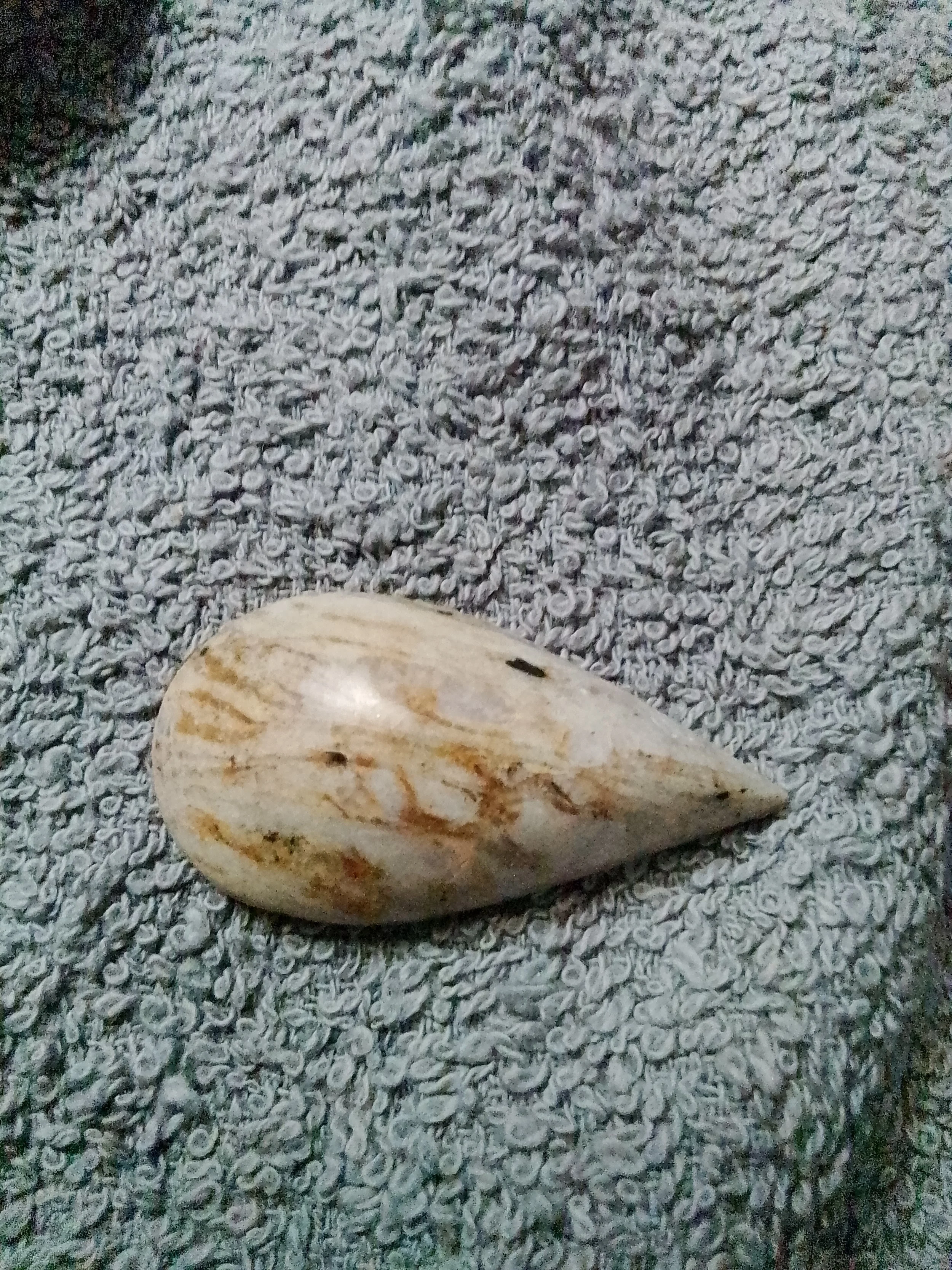 Teardrop Petrified Wood Cabochon