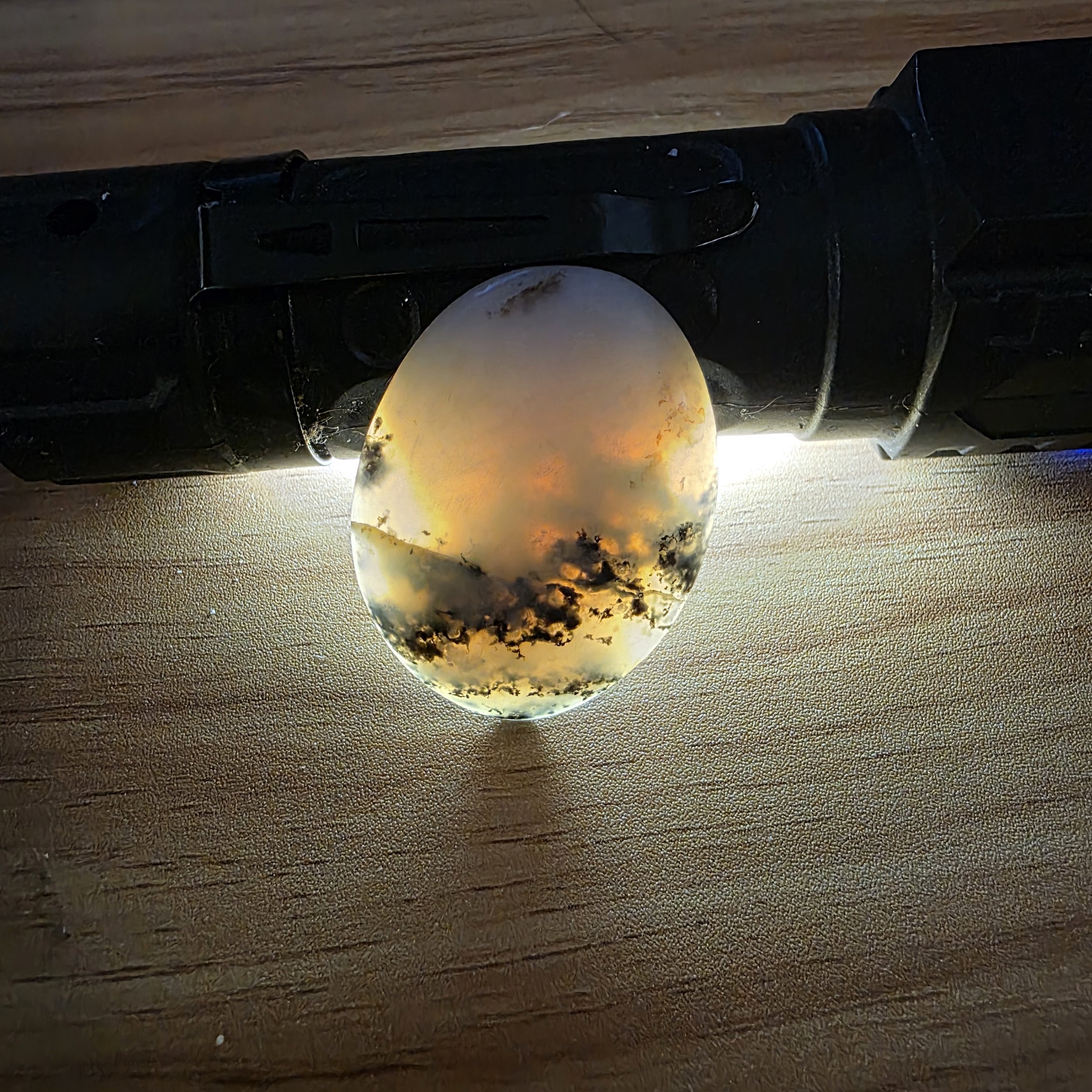 Oval Shaped Montana Moss Agate cabochon