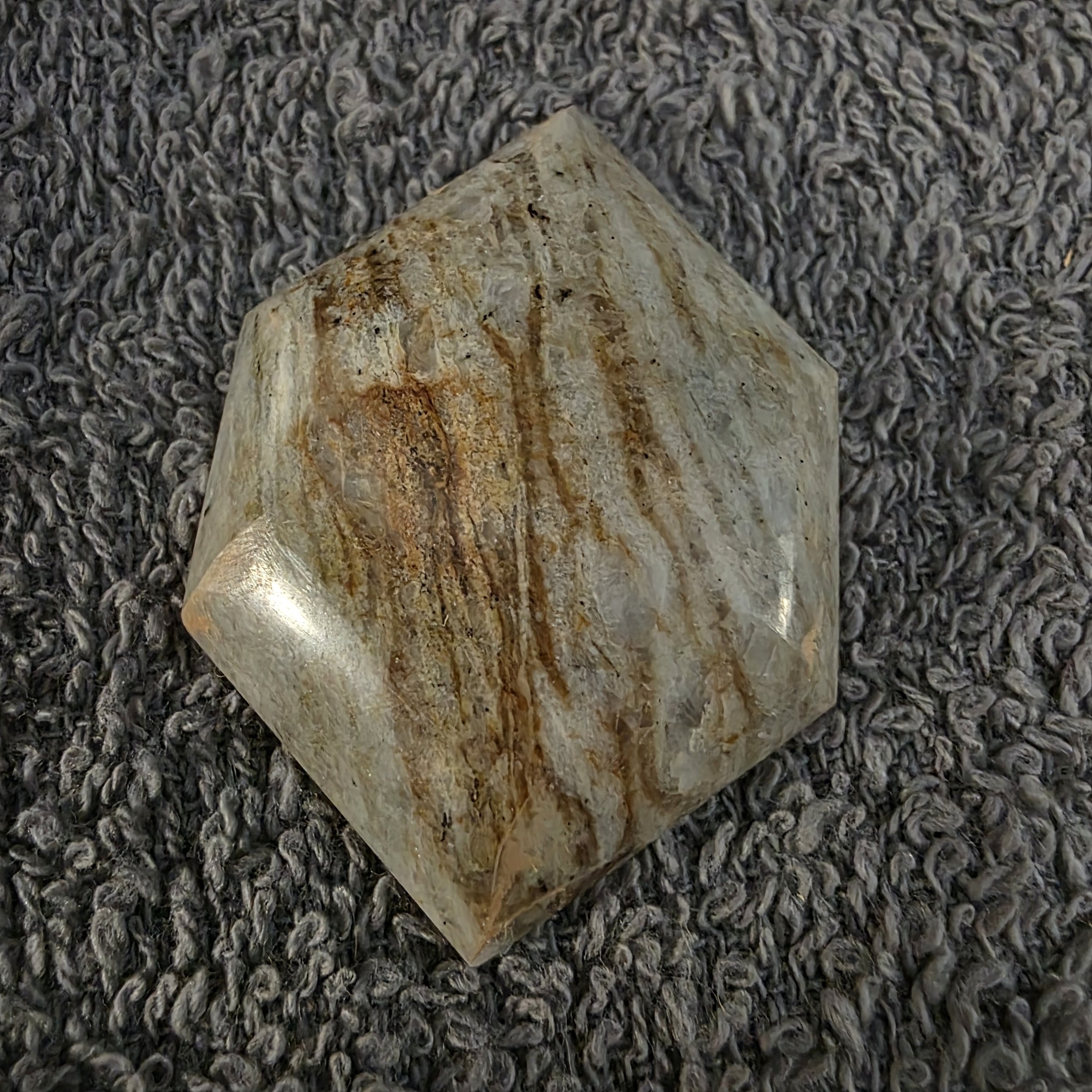 Hexagon Shaped Petrified Wood Cabochon