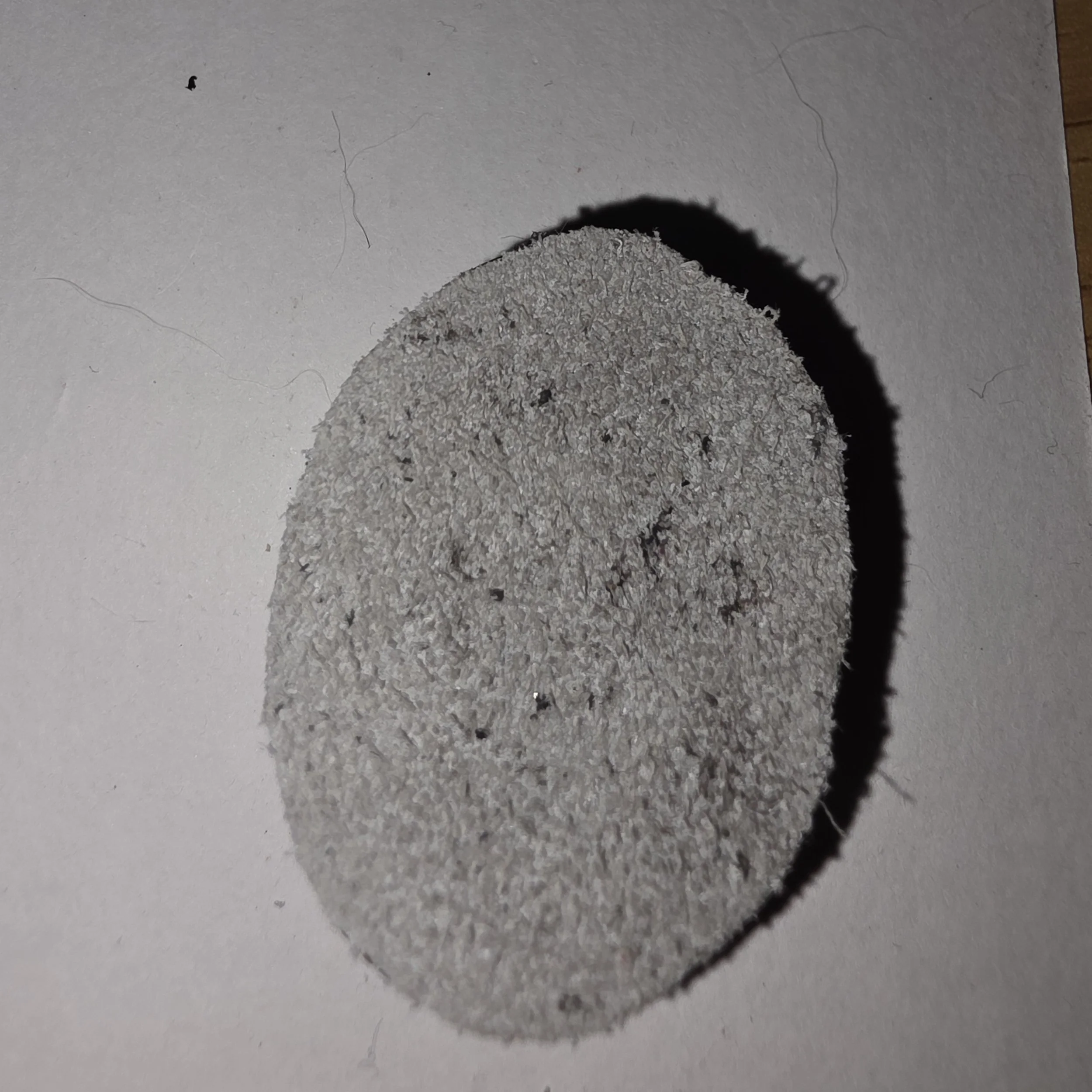 20260731_152909.jpg