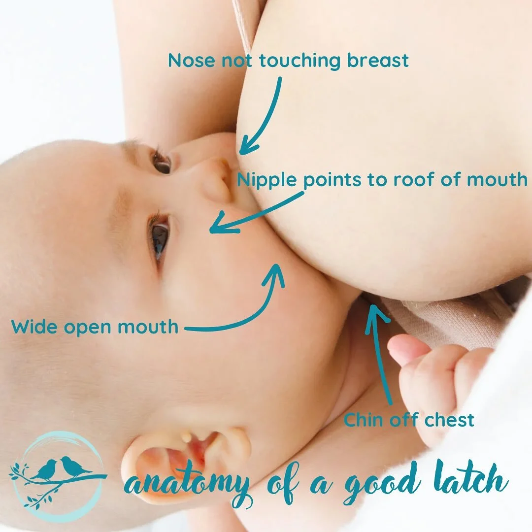 A good latch can mean:
👍 less nipple pain
👍 more milk flow
👍 less sputtering and coughing with fast let-down
👍 better long term milk supply

It doesn&rsquo;t need to be &ldquo;perfect&rdquo;, but small tweaks and adjustments sometimes go a long w