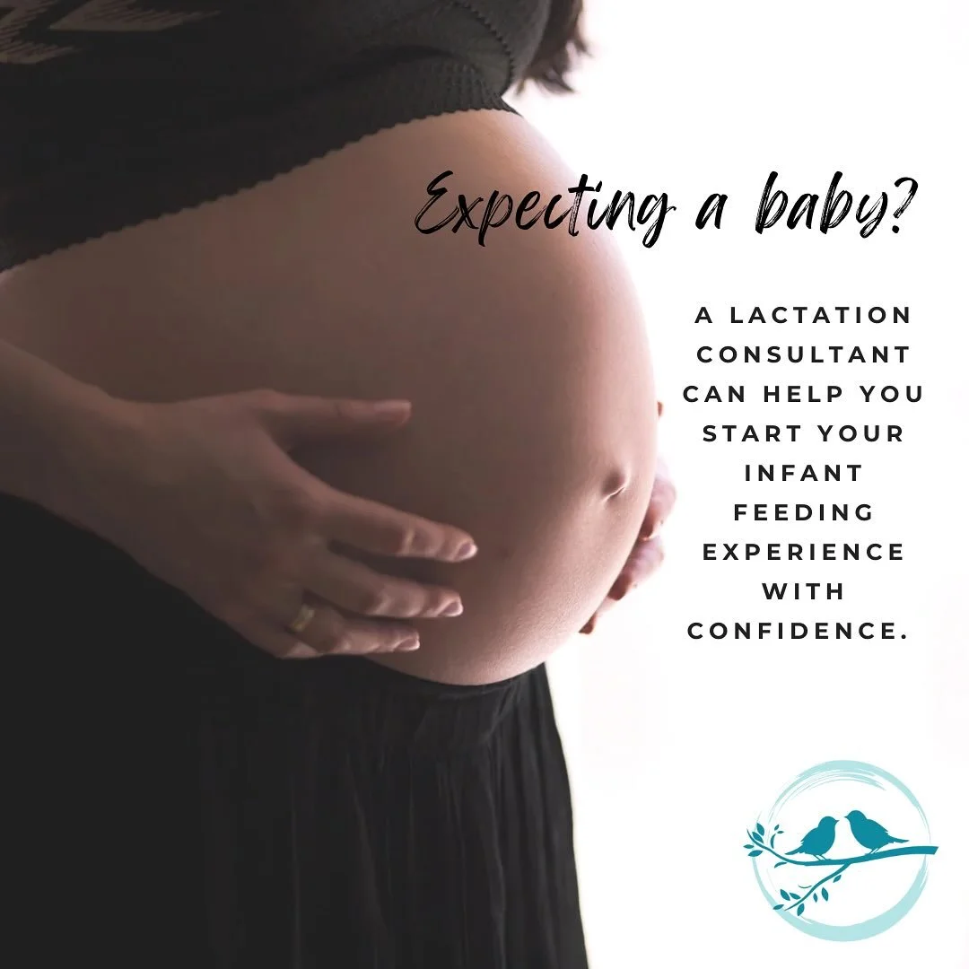 Prenatal appointments available both virtually and in-home.

Let&rsquo;s discuss what to expect around feeding your baby in the first hours and days, tips for getting your lactation experience off to a good start, what to buy (and not buy) before bir