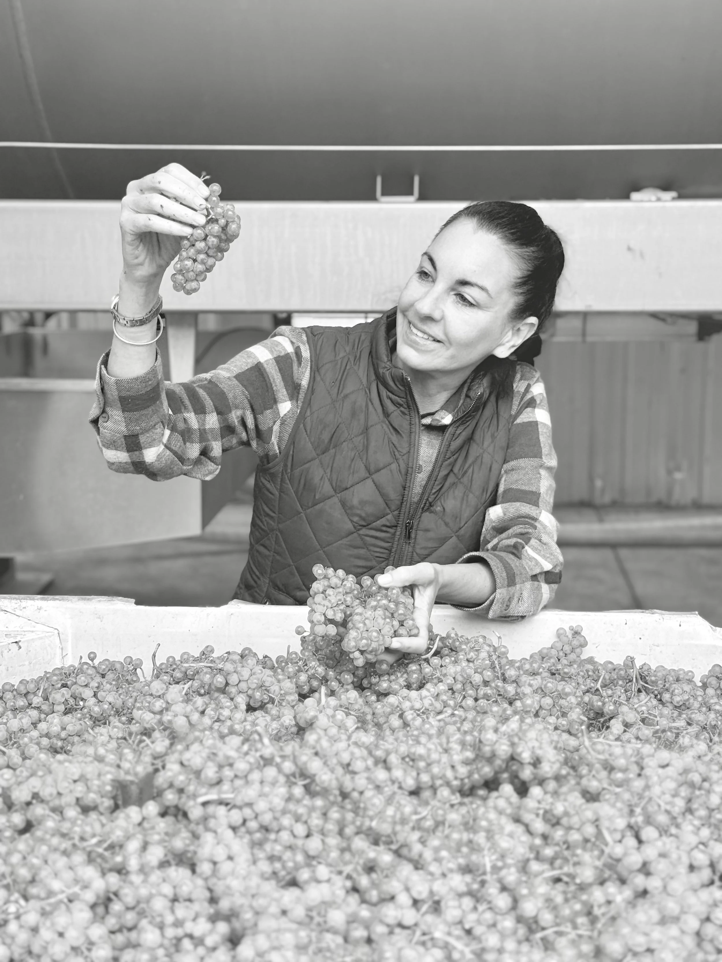 A woman with dark hair pulled back, wearing a plaid shirt and a sleeveless vest, is smiling and inspecting a bunch of grapes in a winemaking or grape processing setting, with a large quantity of grapes in front of her.