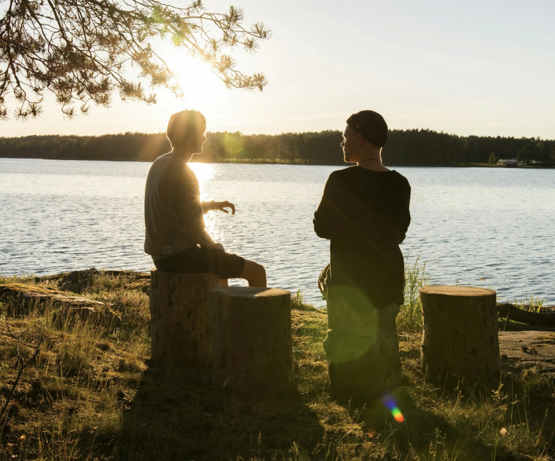 Discernment Counseling