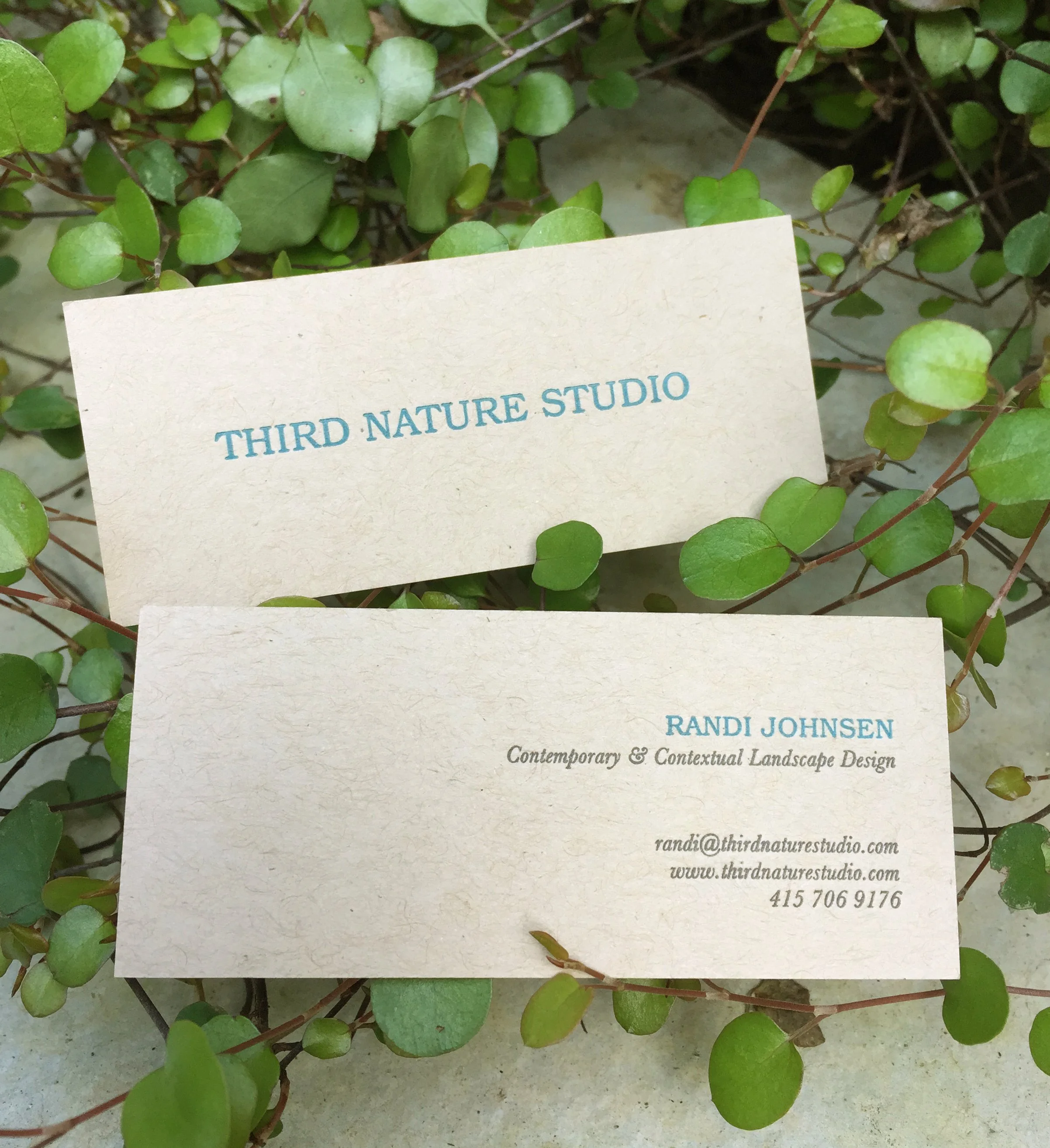 Third Nature Studio biz card.jpg