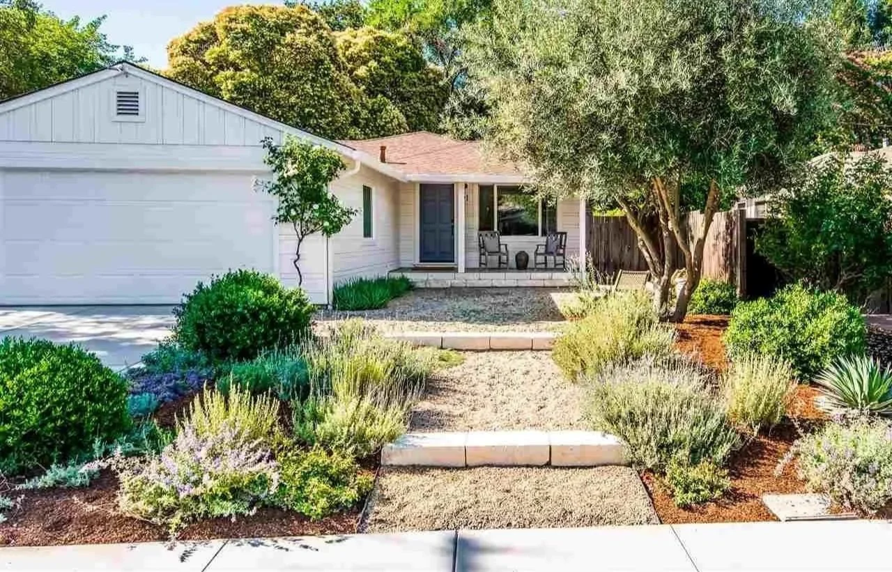 TNS Margaret Drive2.jpeg