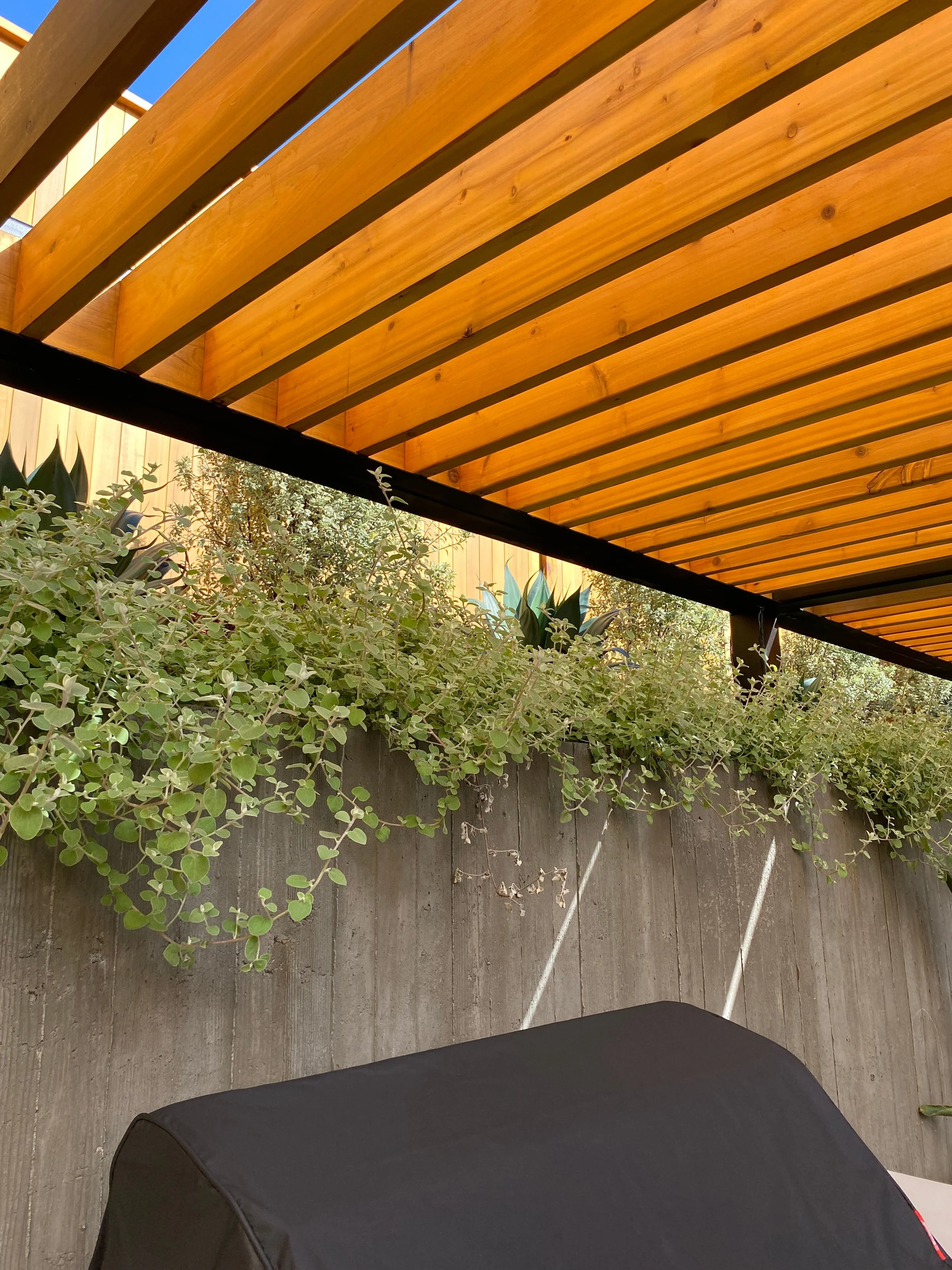 TNS-Lucas Valley-18.jpg