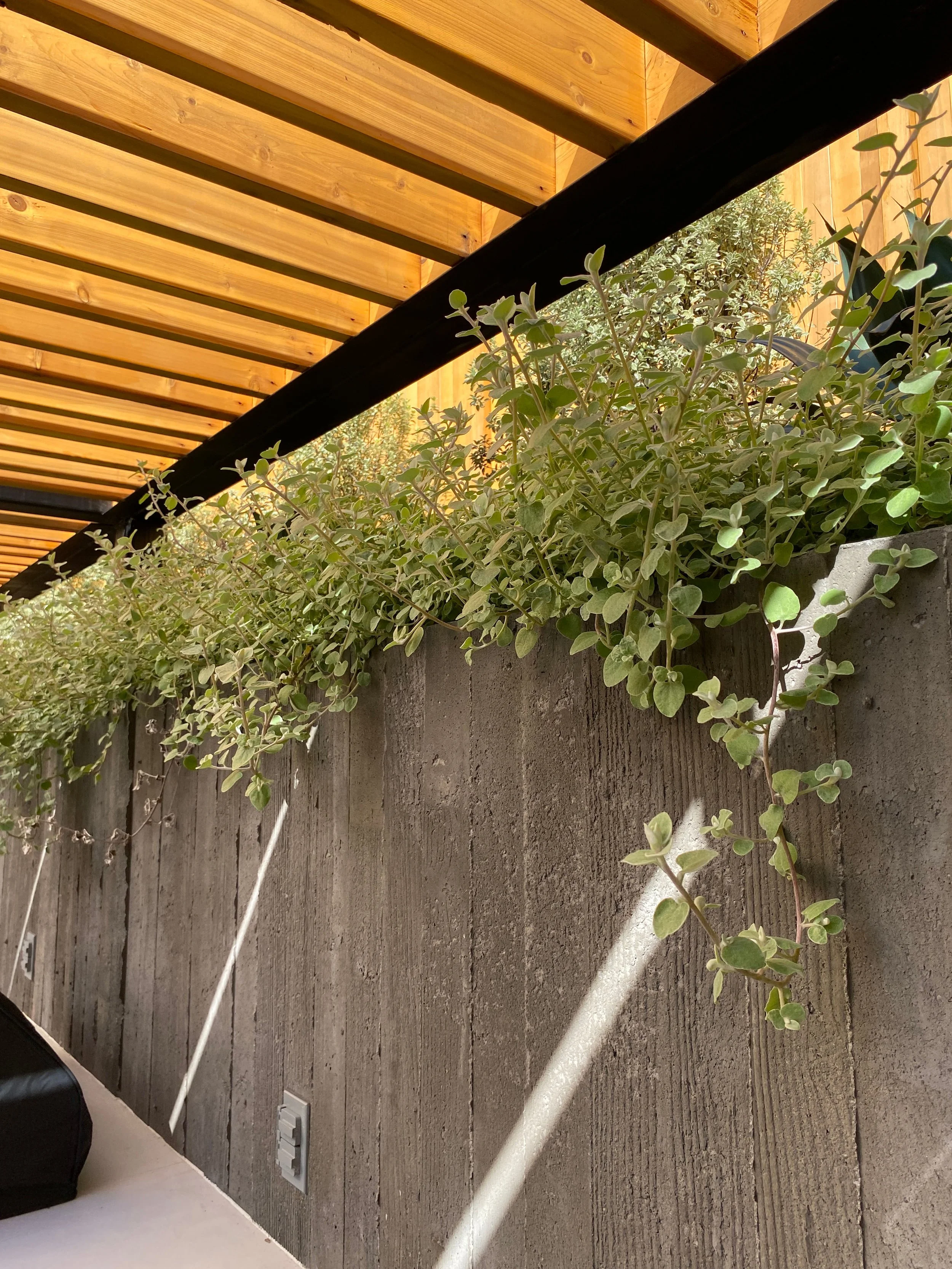 TNS-Lucas Valley-20.jpg