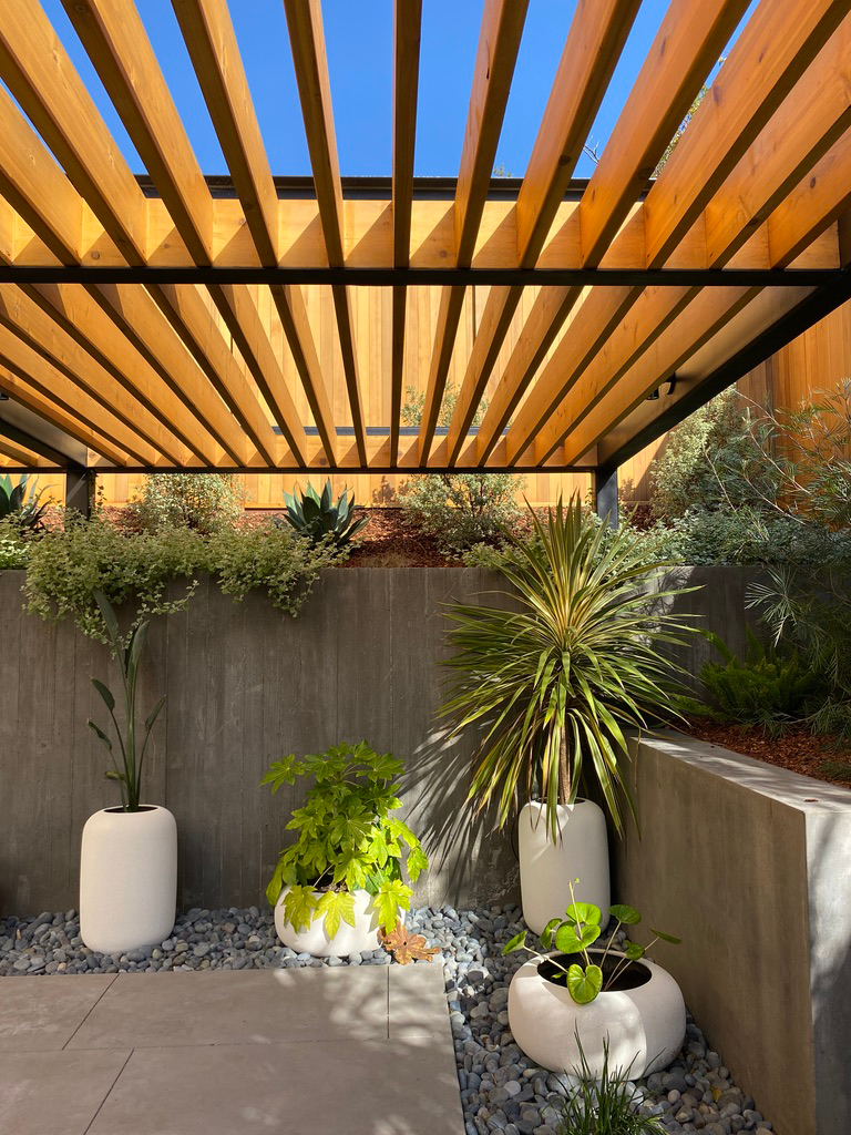 TNS-Lucas Valley-7.png