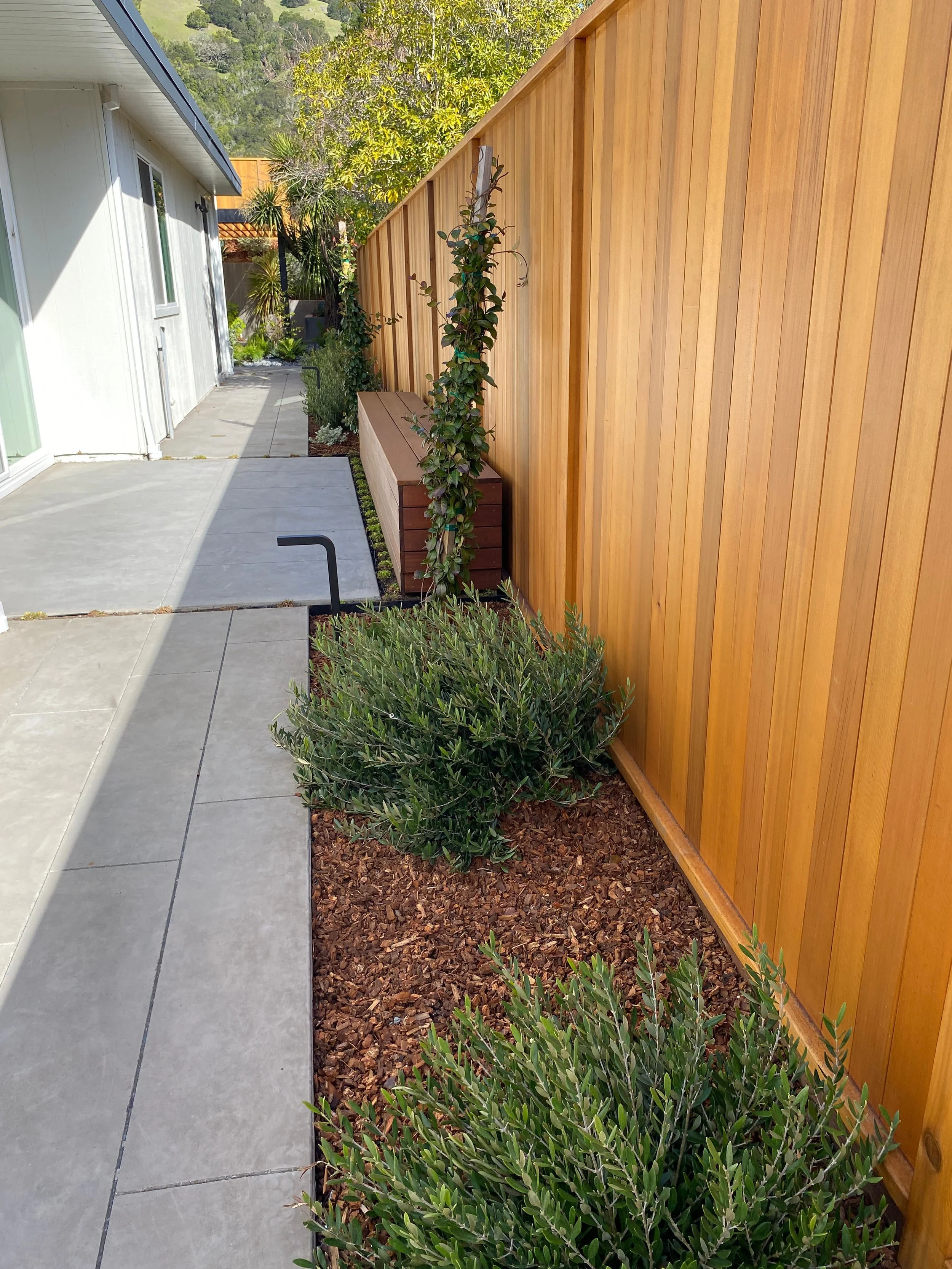 TNS-Lucas Valley-19.jpg