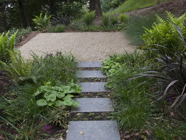 TNS cali native shade.jpg