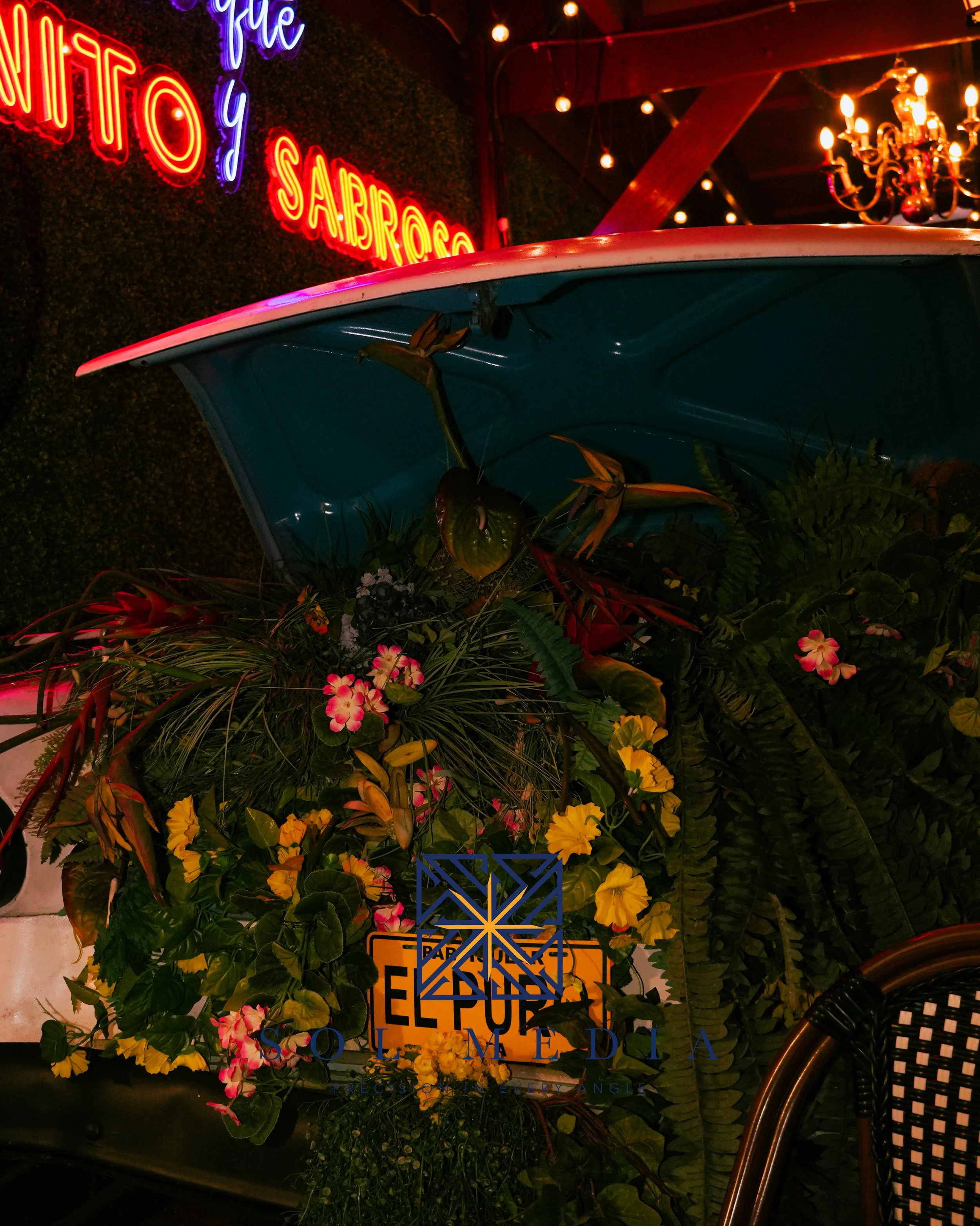 DSC02850.jpg