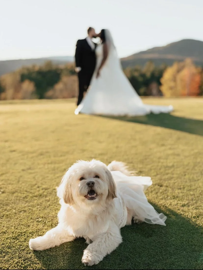 Package 3: Overnight