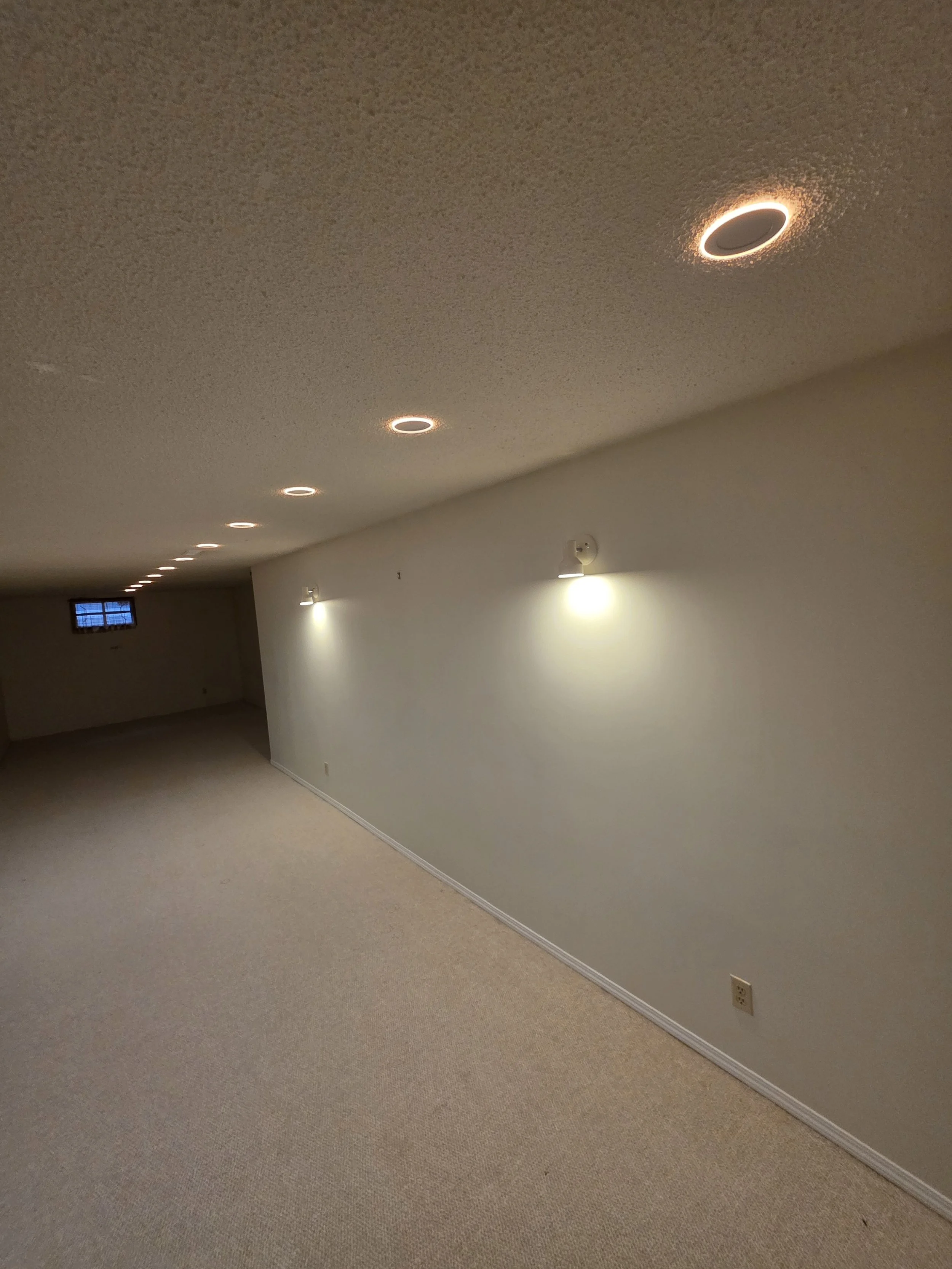 basement-pot-lights-nightlight-mode-edmonton.jpg