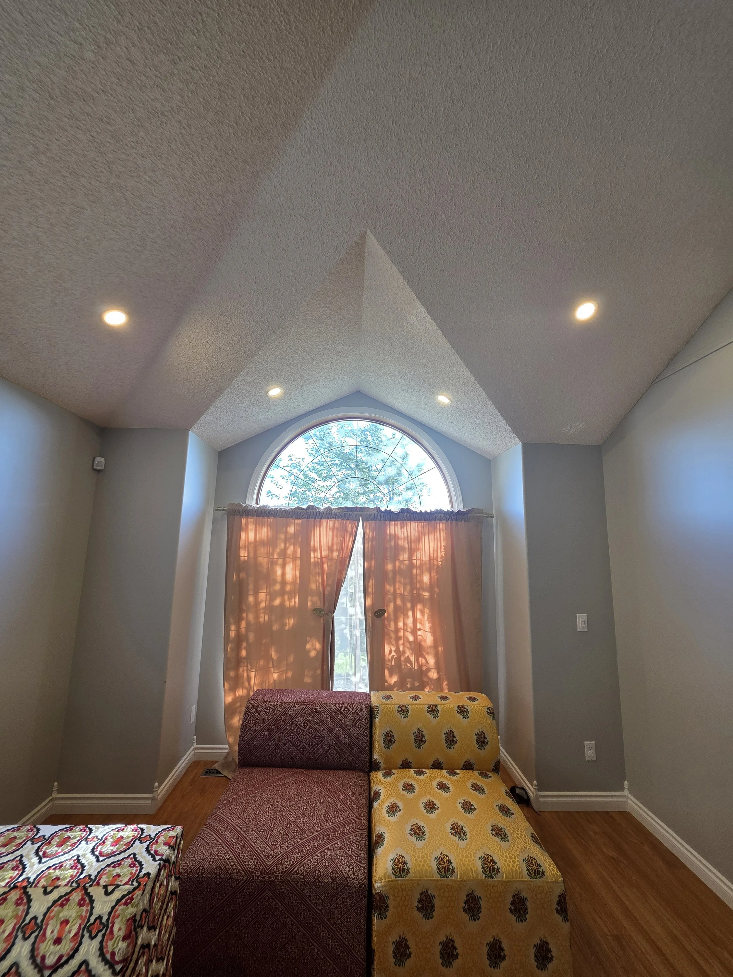 vaulted-bonus-room-pot-lights-edmonton.jpg