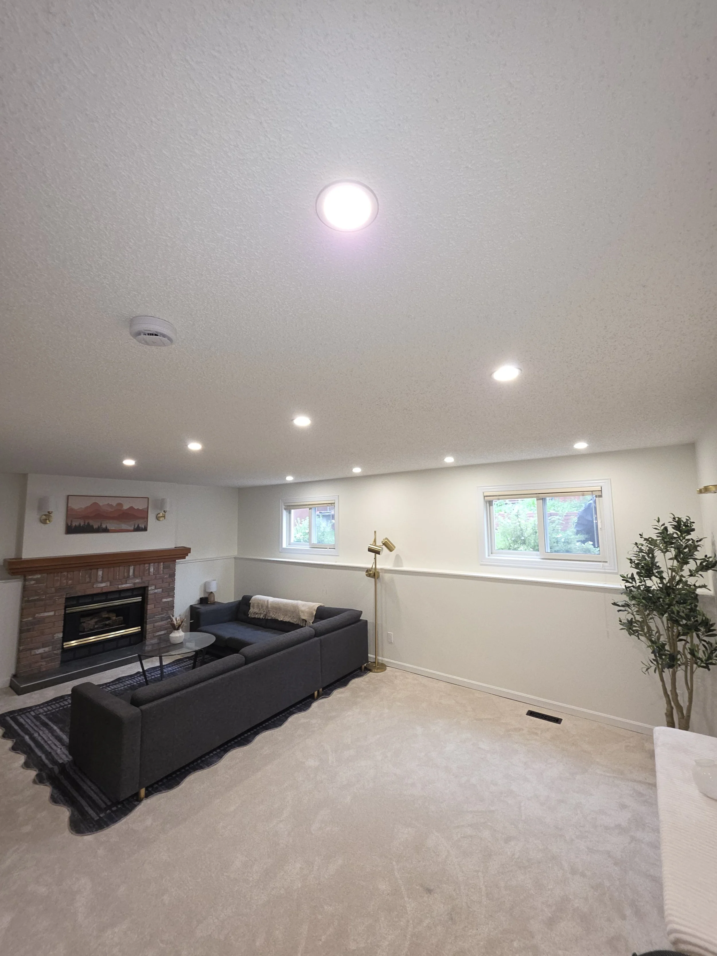 basement light led edmonton.jpg