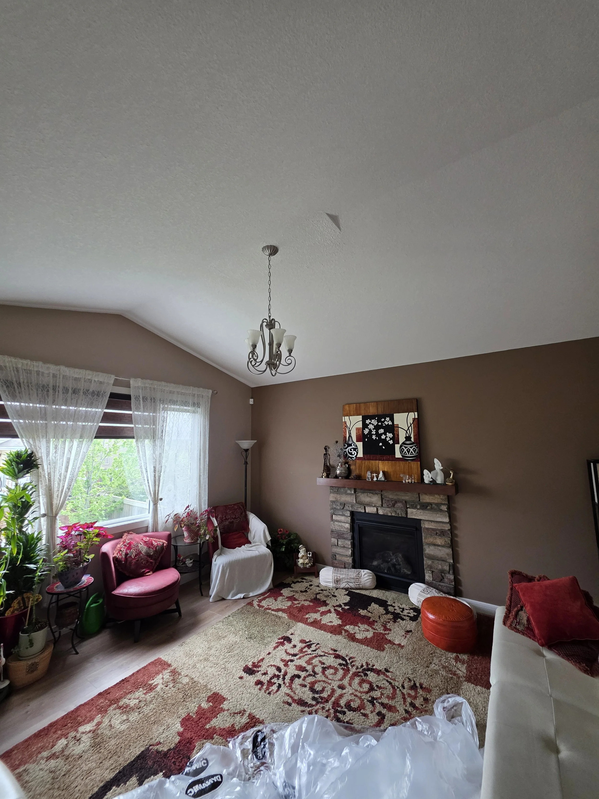 before-vaulted-living-room-edmonton.jpg