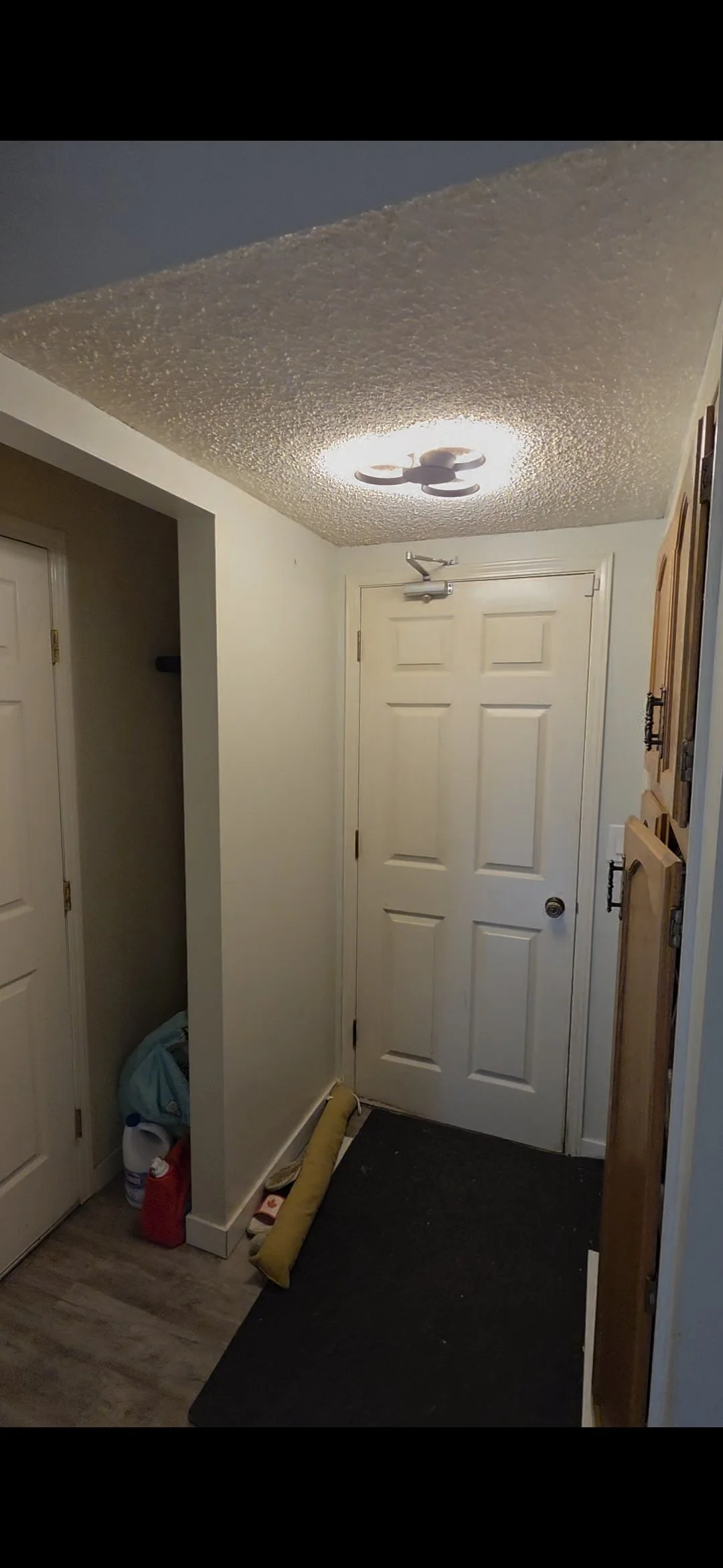 hallway-flush-mount-light-edmonton.jpg