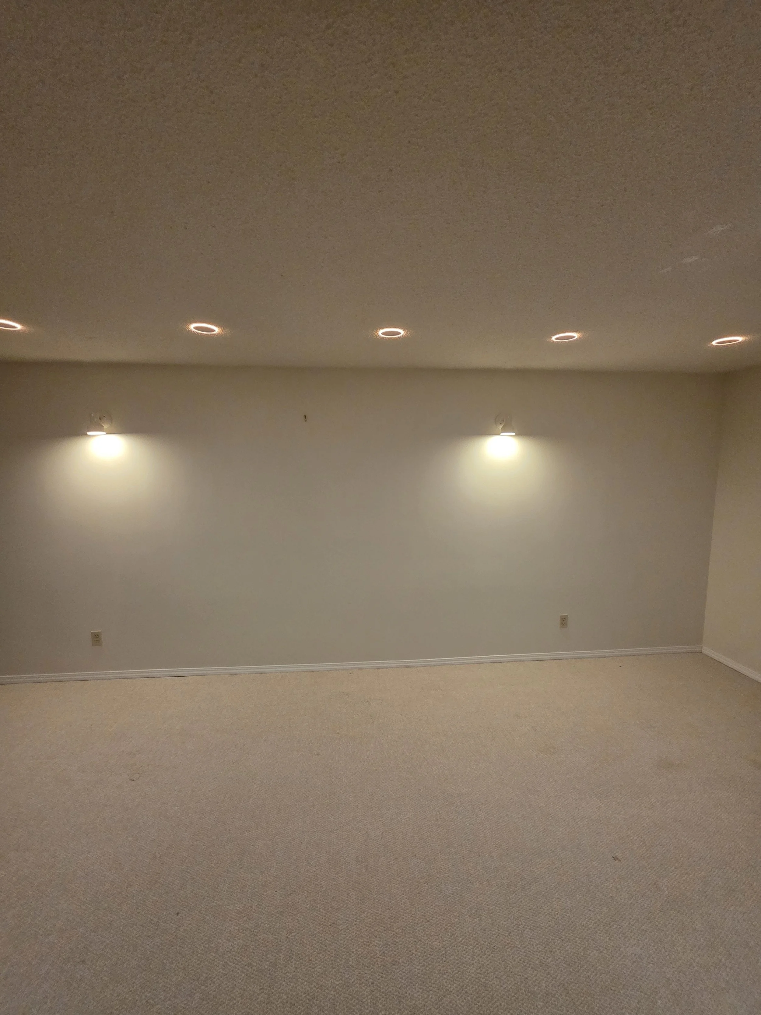 basement-pot-lights-wall-wash-edmonton.jpg