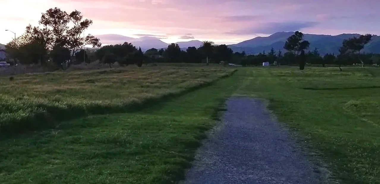 Gravel walking path through a green field in Livermore, California, with Mount Diablo under a pink sunset sky