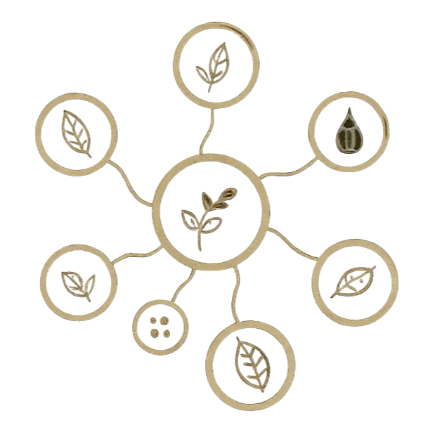 Diagram of the process of composting organic waste, showing steps from waste collection to compost application, with icons of leaves, organic materials, a compost bin, and finished compost.