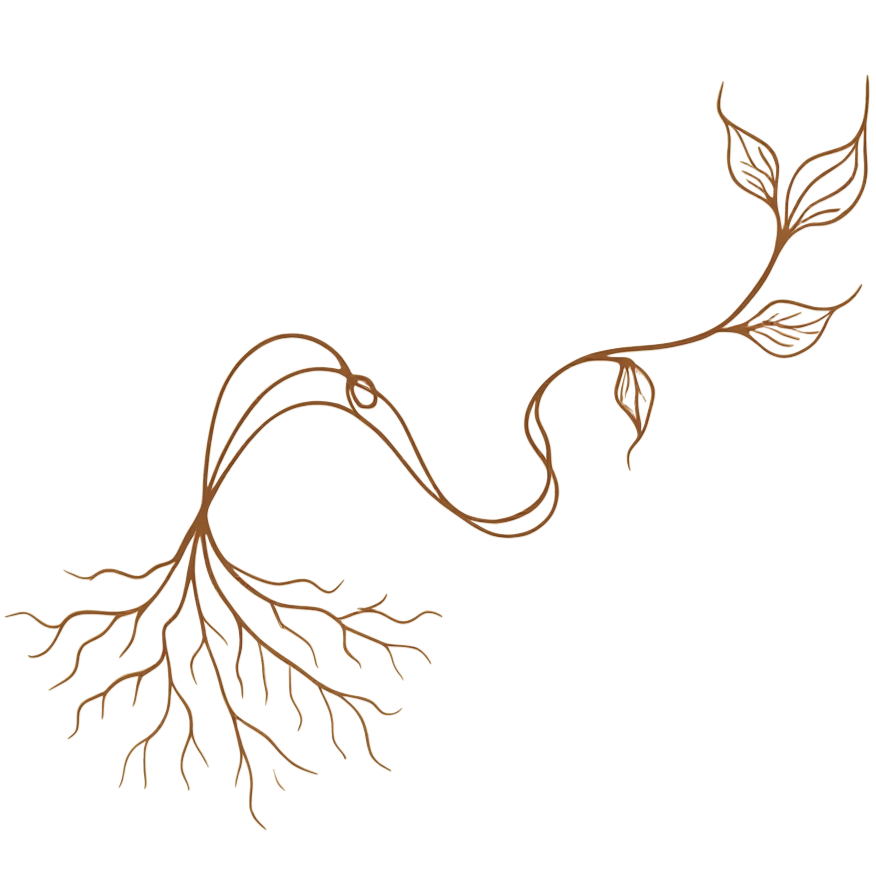 Illustration of a plant with roots on the left and a stem with leaves on the right, in a gold line art style.