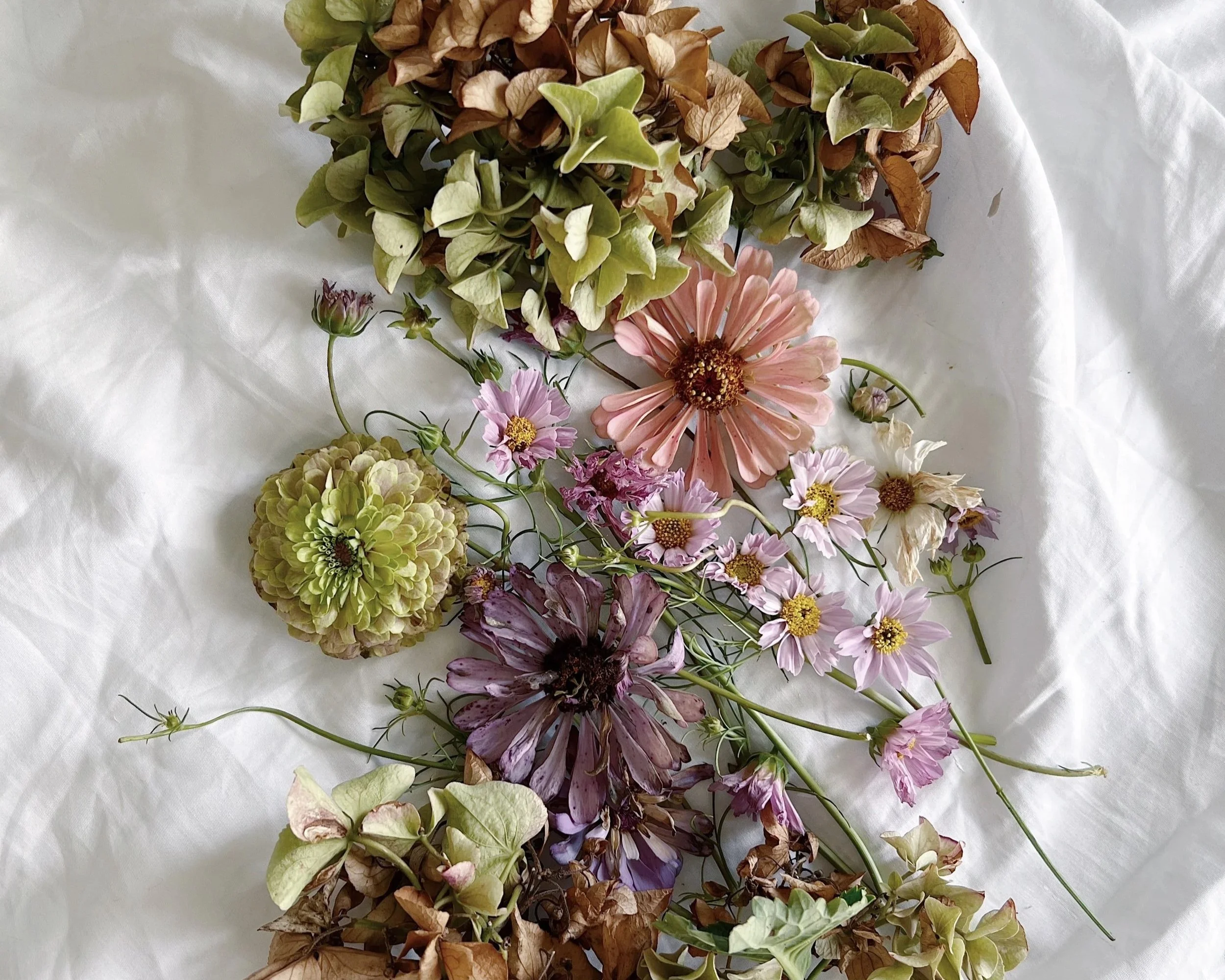 Various dried and fresh flowers, including hydrangeas, zinnias, and other blooms, are arranged on a white fabric surface with some dried leaves and stems.