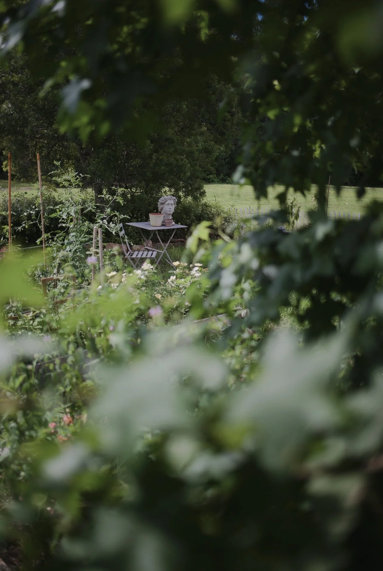 A garden scene viewed through leaves, with a bust sculpture of a woman on a small table and potted plants nearby.