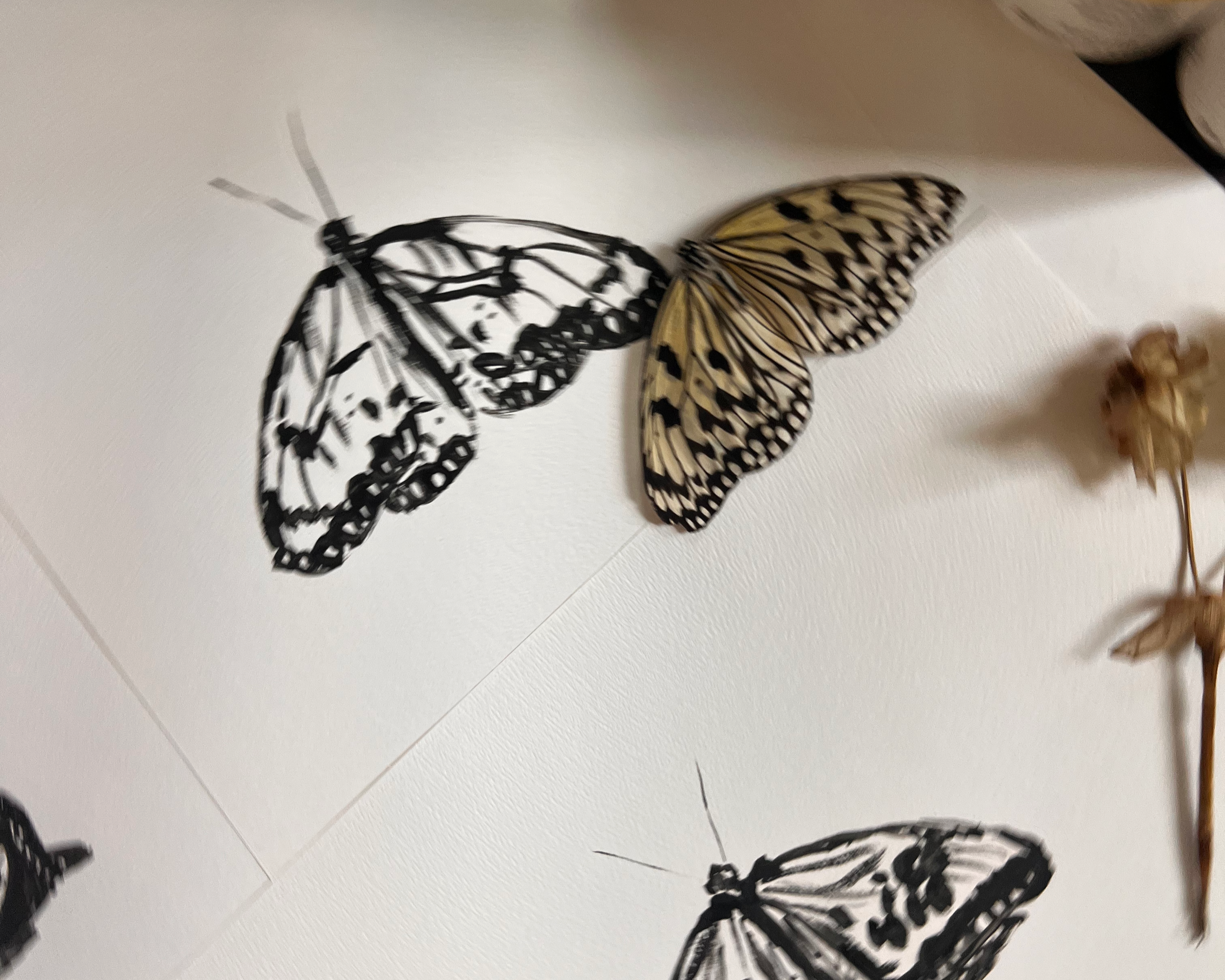 Decorative butterfly wall art on a light-colored wall.