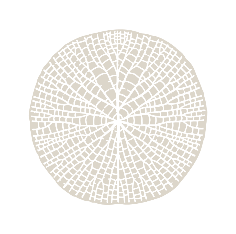 Black and white cross-section illustration of a tree trunk showing growth rings and bark pattern.