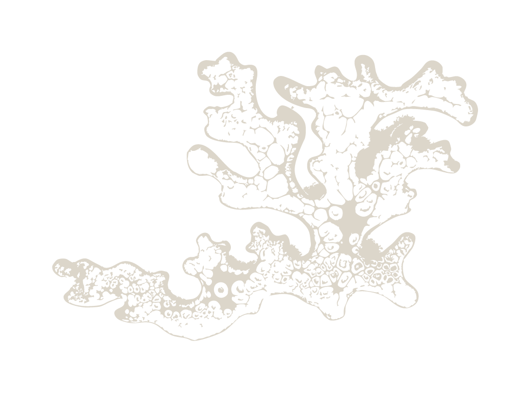 Black and white abstract pattern resembling a coral or organic growth against a black background.