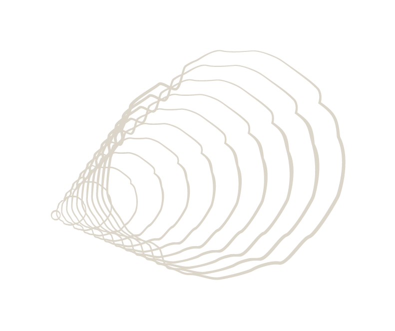 Abstract 3D wireframe cone shape with concentric contours on a black background.