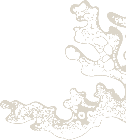 Black and white abstract illustration with organic, cell-like patterns.