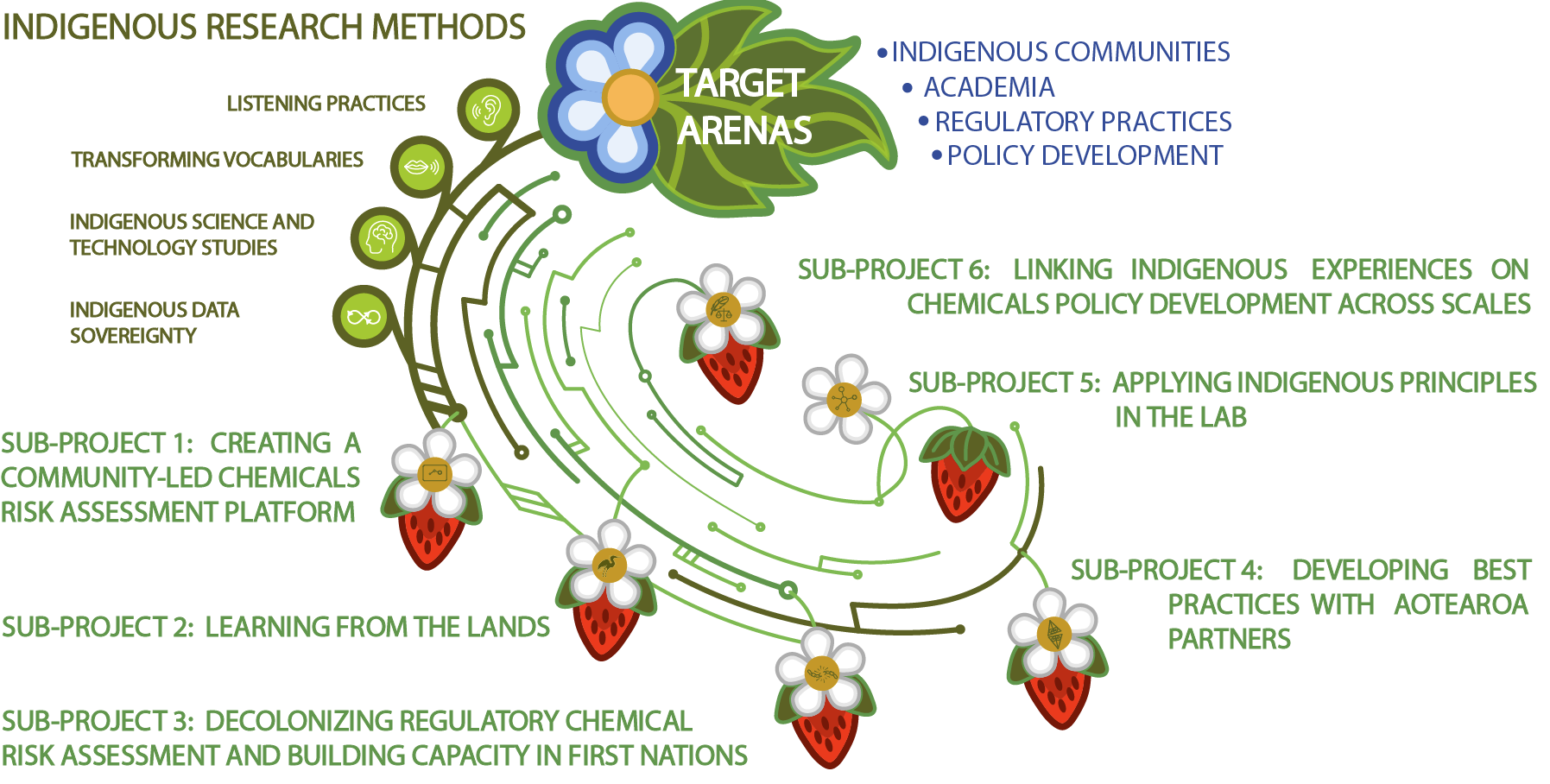 Diagram illustrating Indigenous research methods with a central target labeled 'Target Arenas' and sub-projects branching out from strawberries and flowers, including topics like creating community-led chemicals risk assessment, learning from lands, decolonizing regulatory chemical risks, applying principles in labs, linking experiences across scales, developing practices with partners, and listening, vocabulary transformation, science, and data sovereignty under Indigenous research methods.